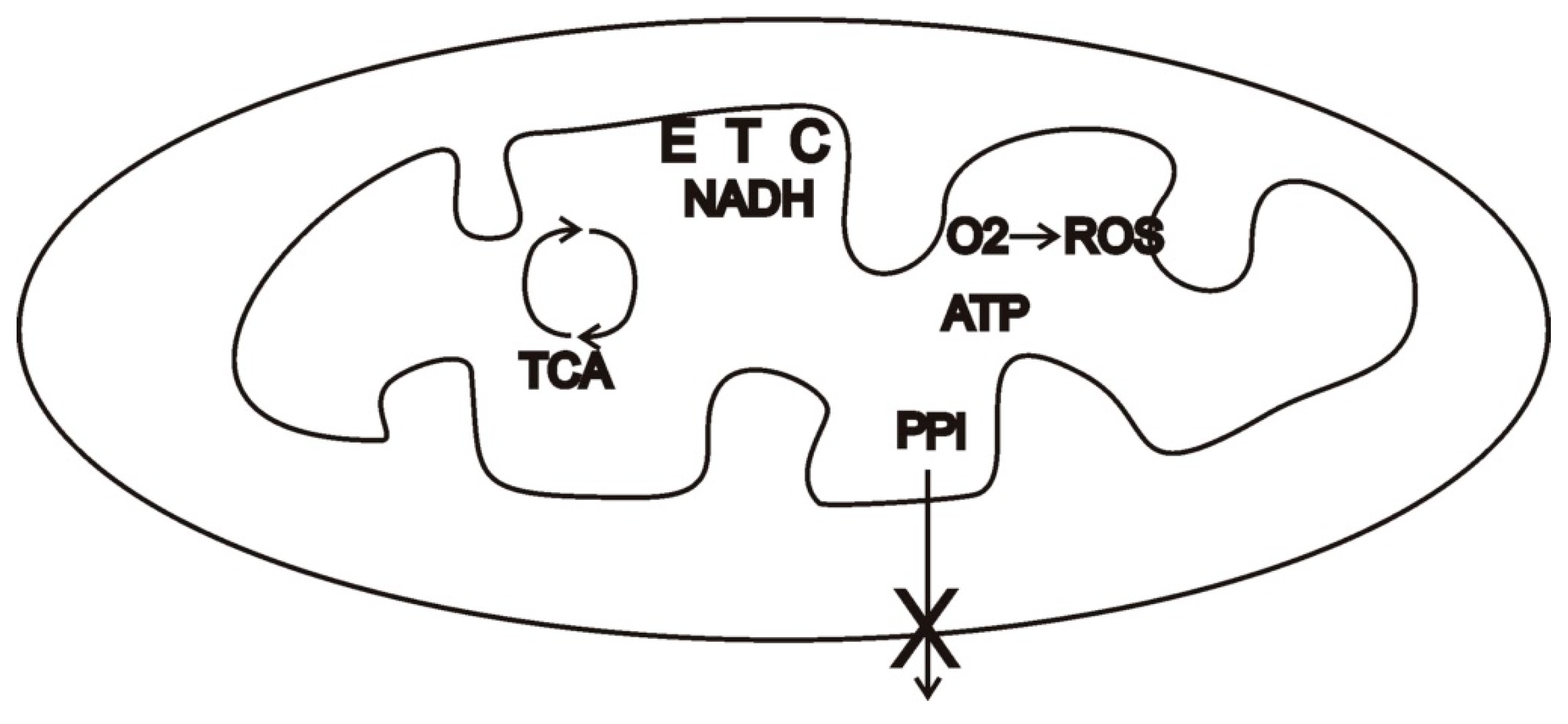 Oxygen 02 00032 g002