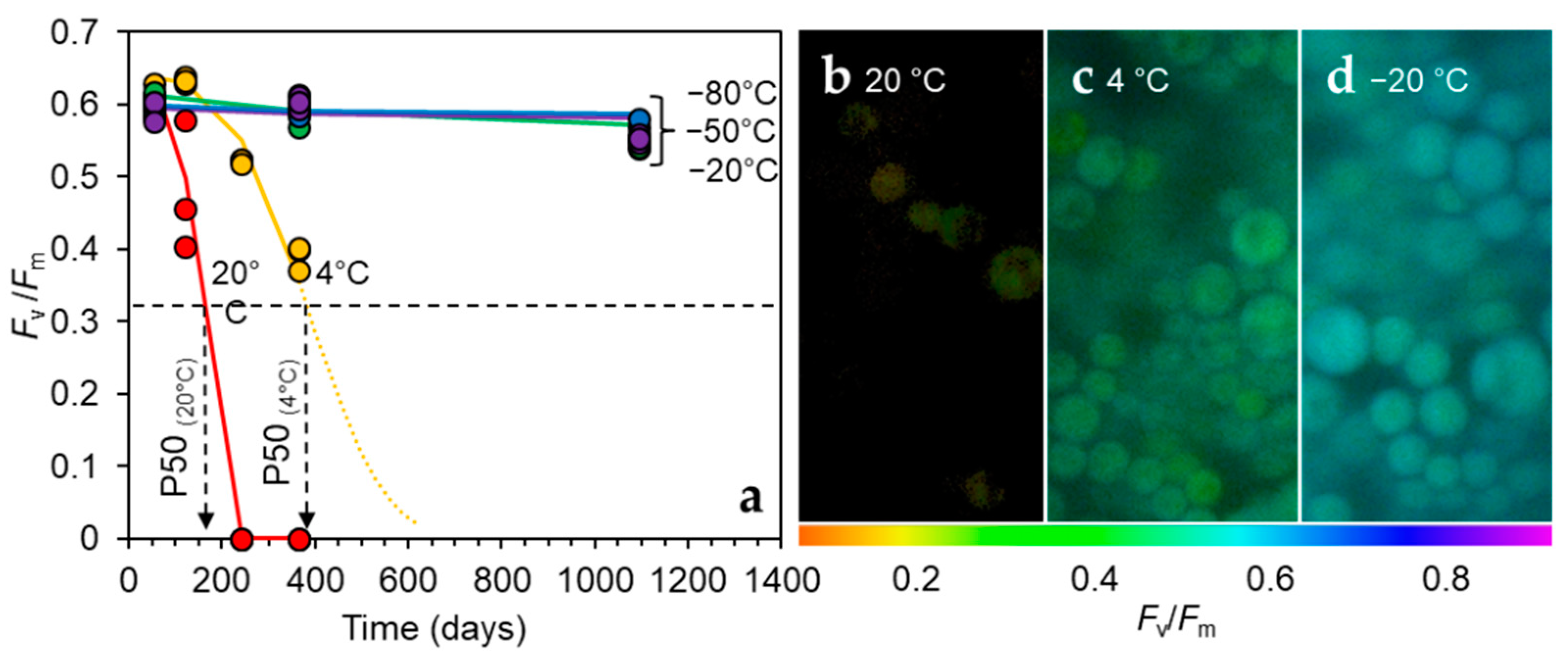 Oxygen 02 00033 g002