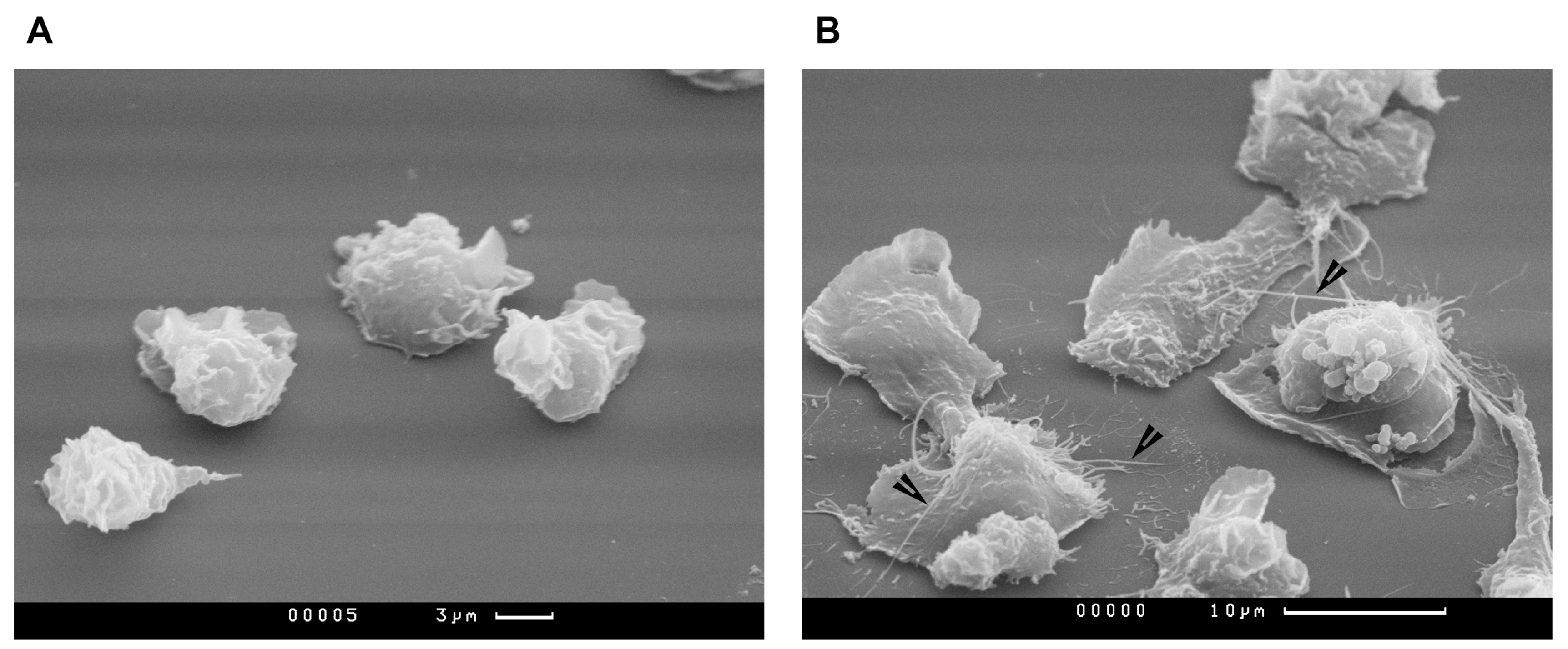 Oxygen 03 00002 g003