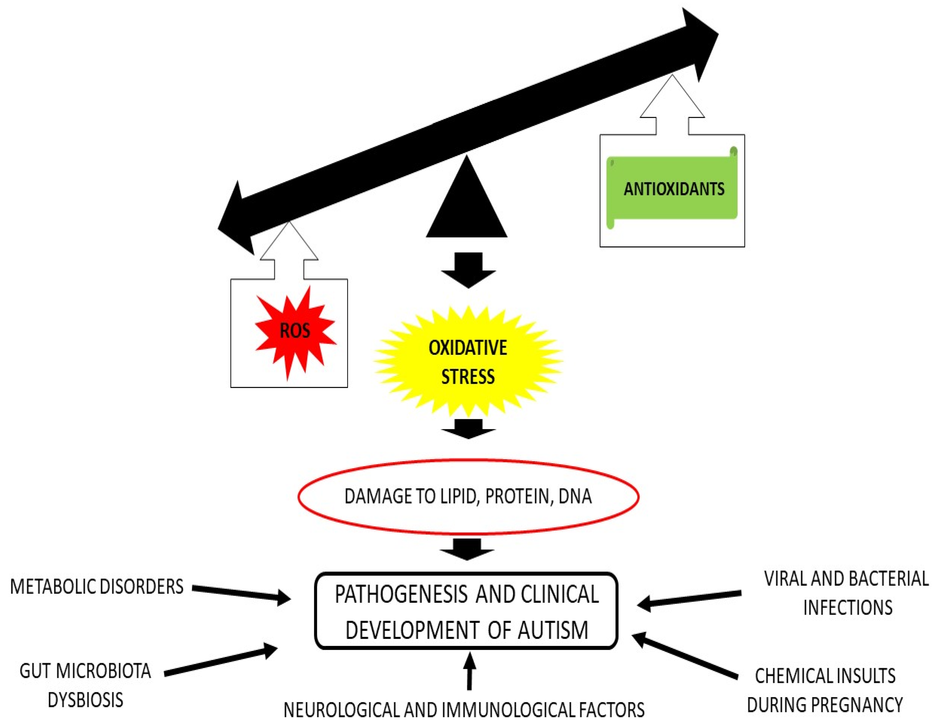 Oxygen 03 00004 g001