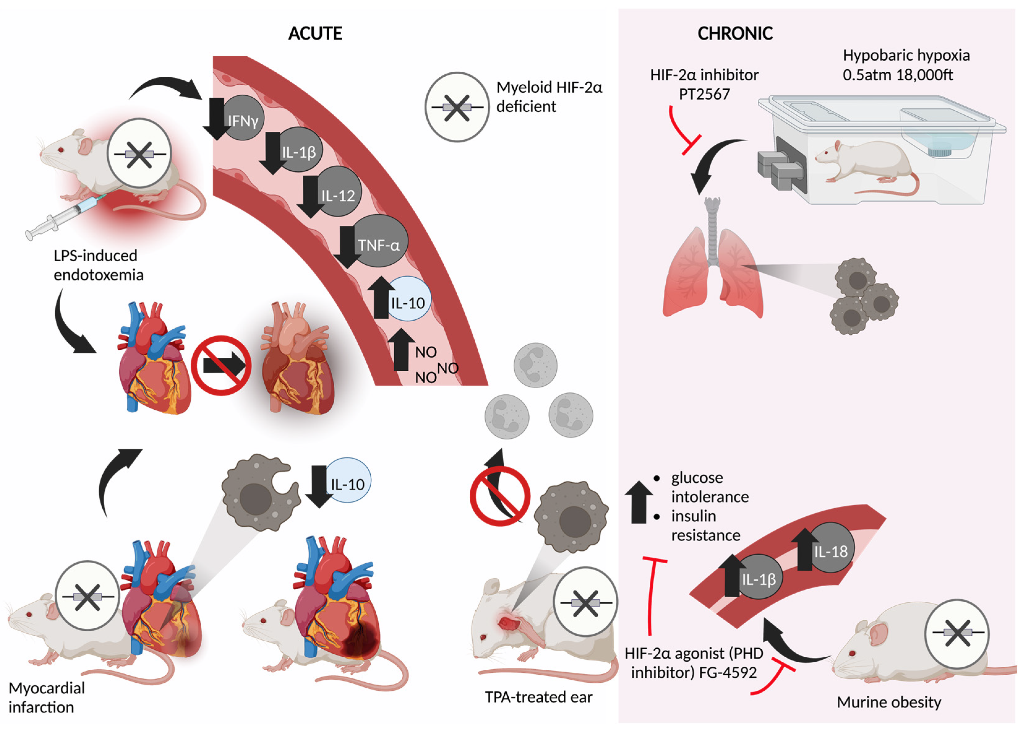 Oxygen 03 00005 g004 Oxygen 03 00005 g004