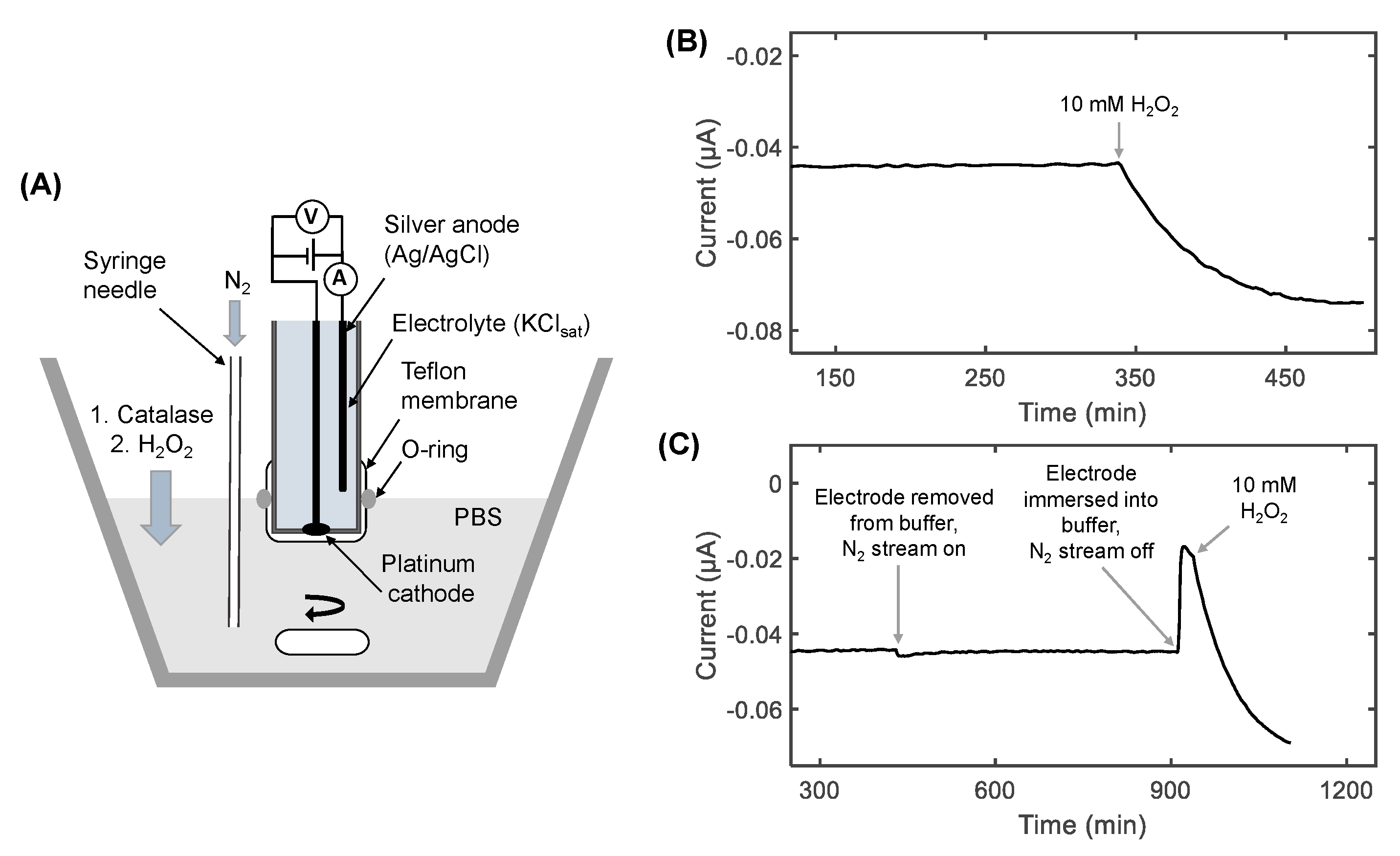 Oxygen 03 00006 g001