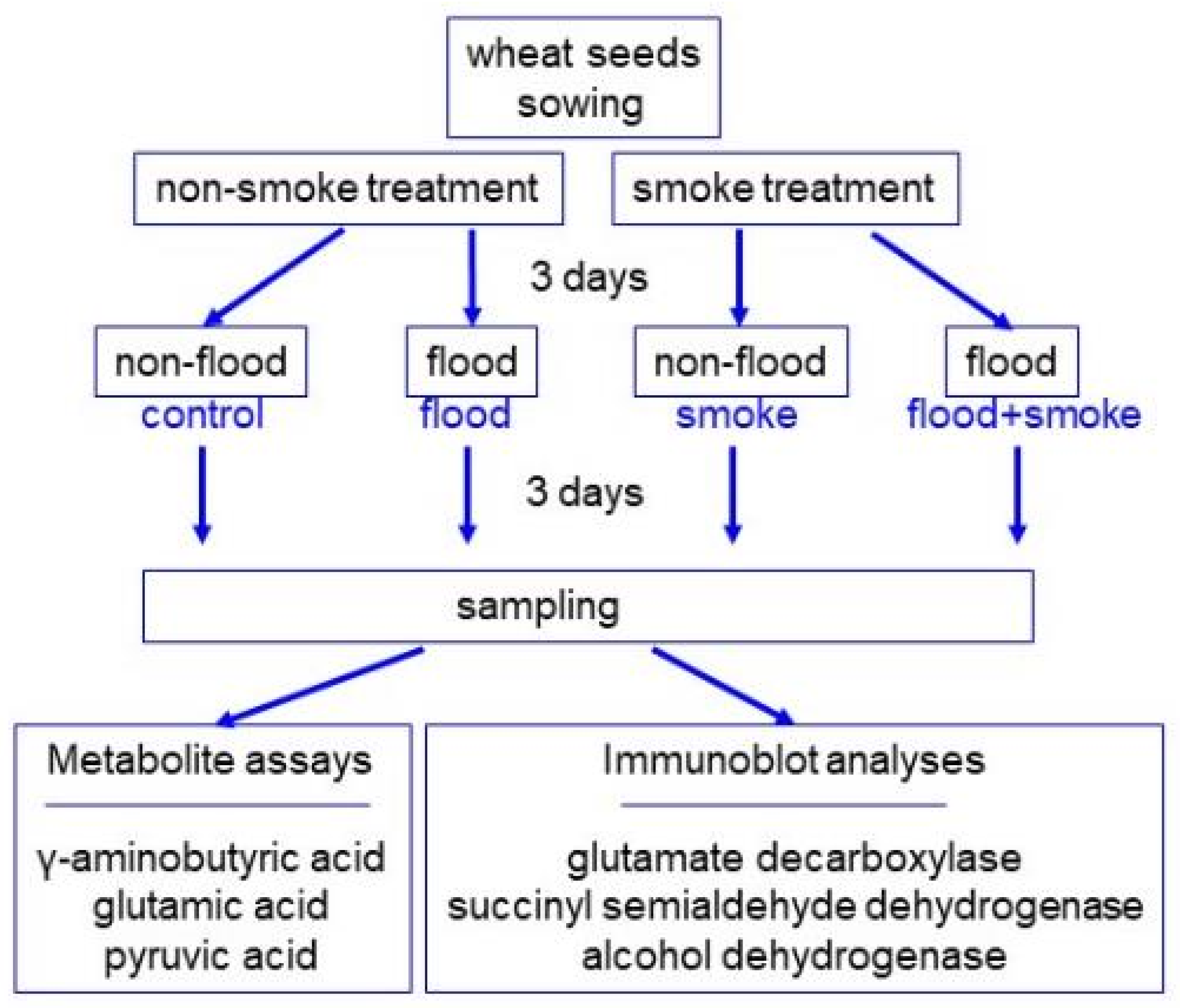 Oxygen 03 00009 g001