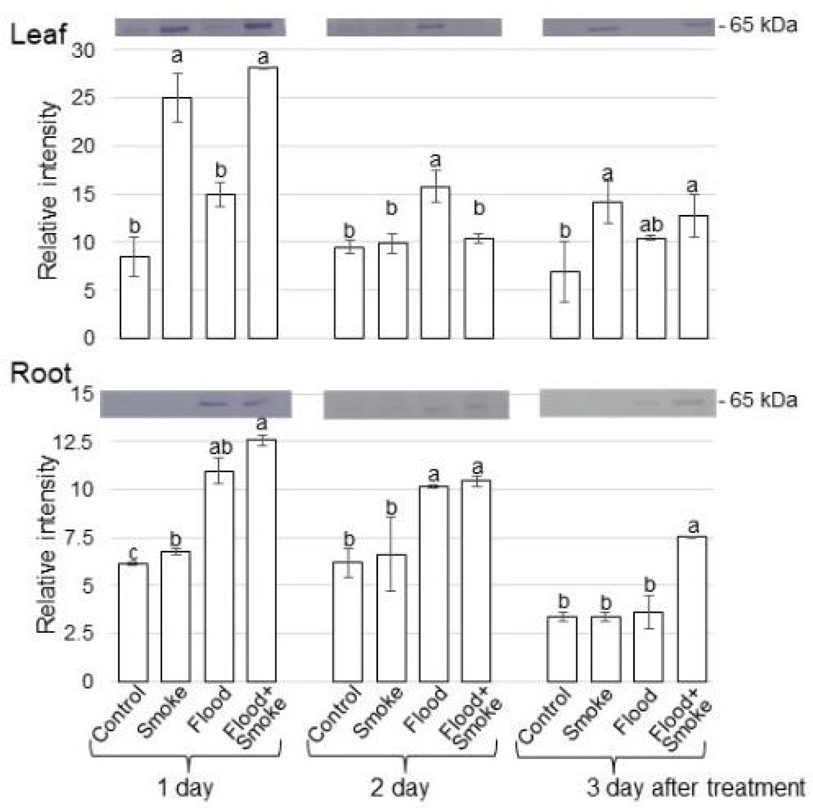 Oxygen 03 00009 g004