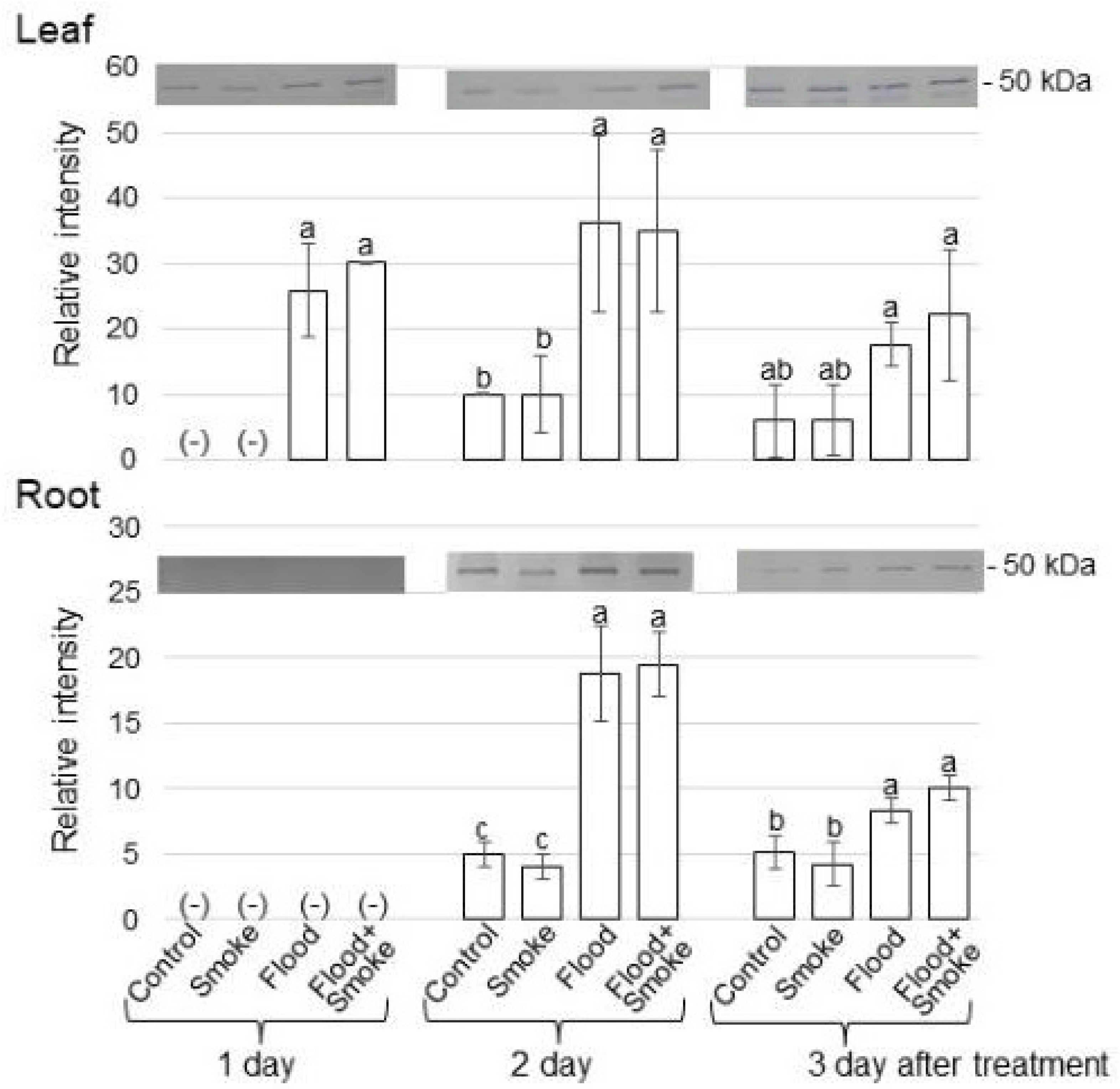 Oxygen 03 00009 g005