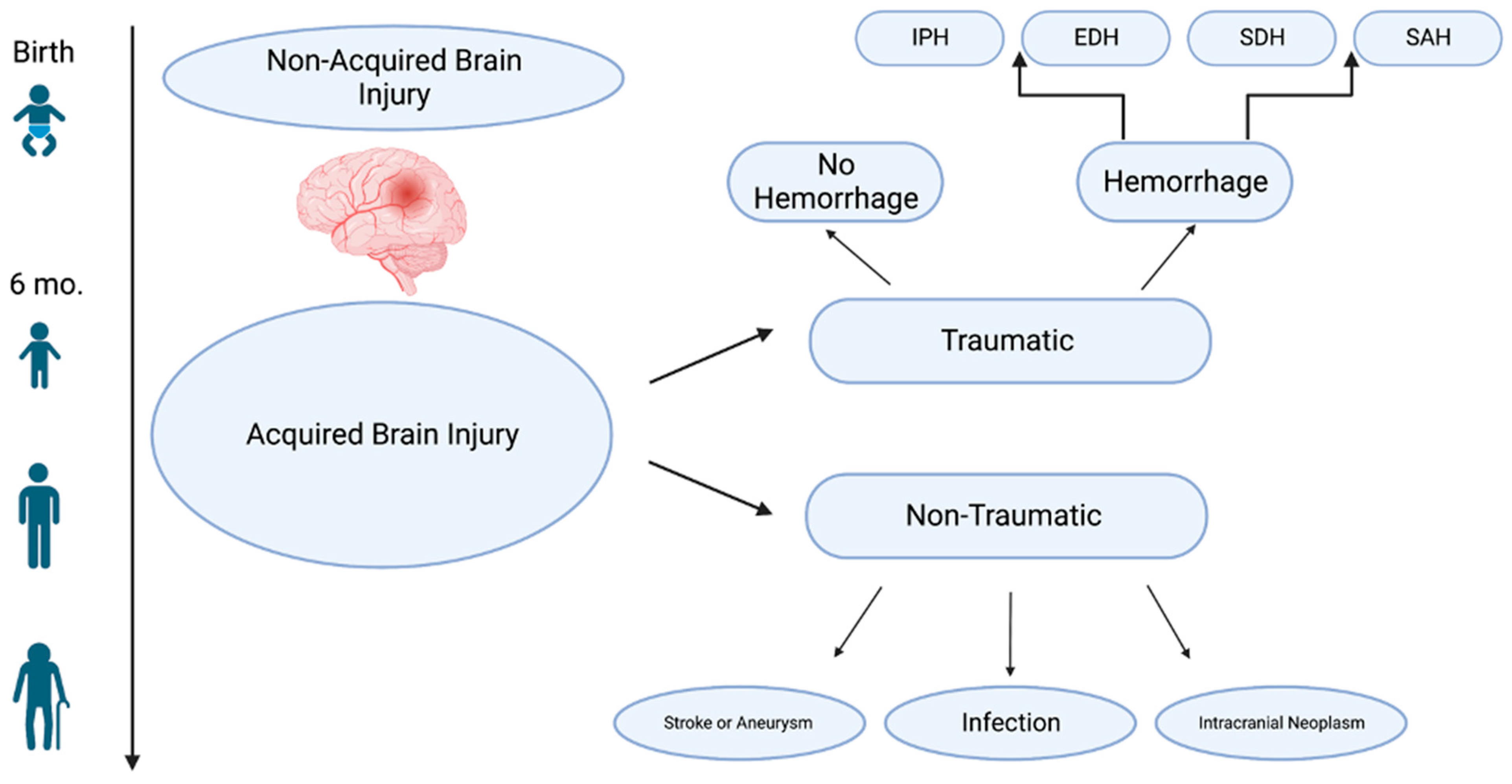 Oxygen 03 00012 g001
