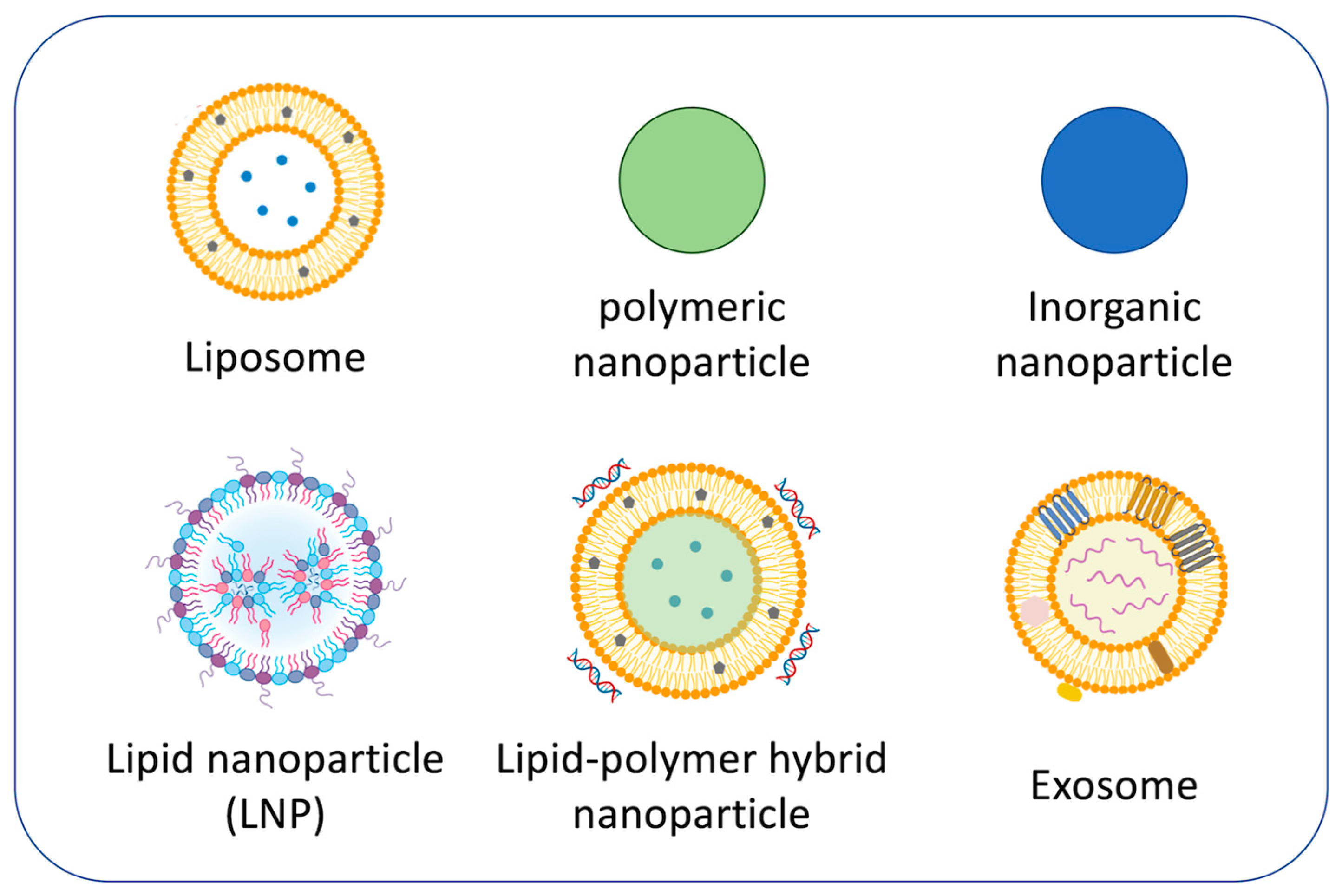 Oxygen 03 00026 g002