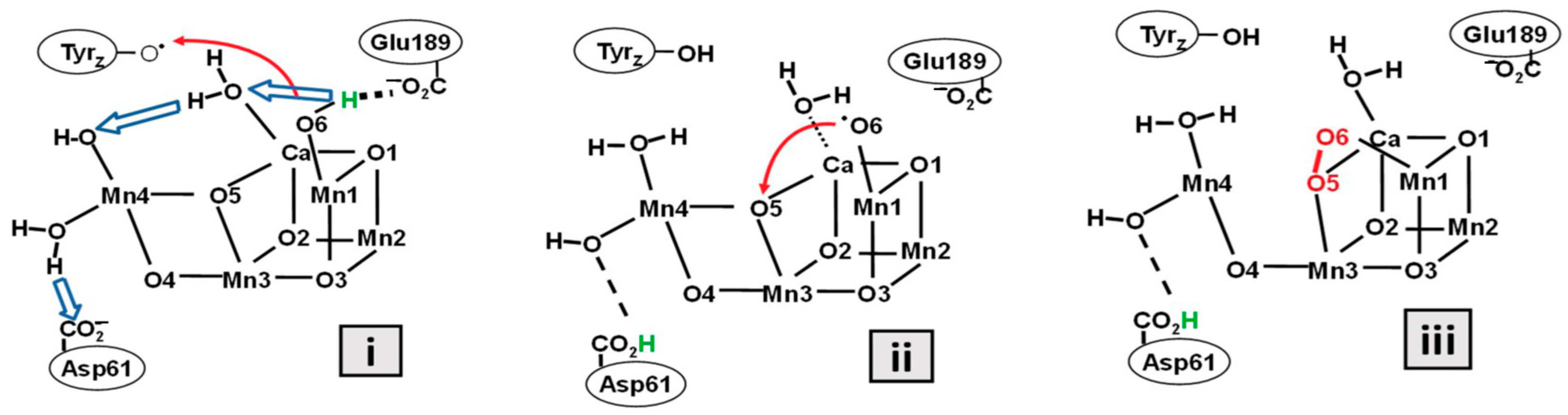 Oxygen 03 00027 g002