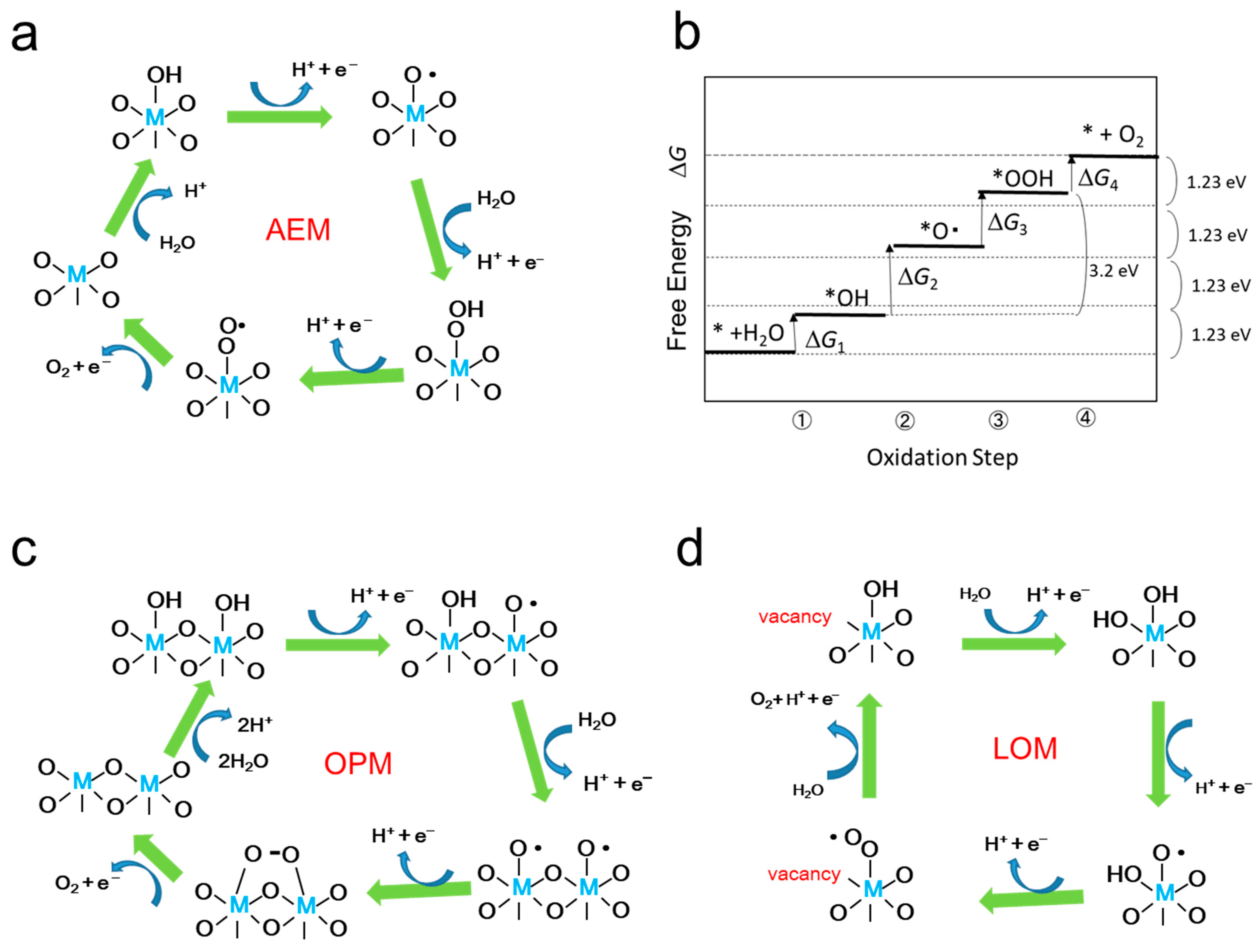 Oxygen 03 00027 g003