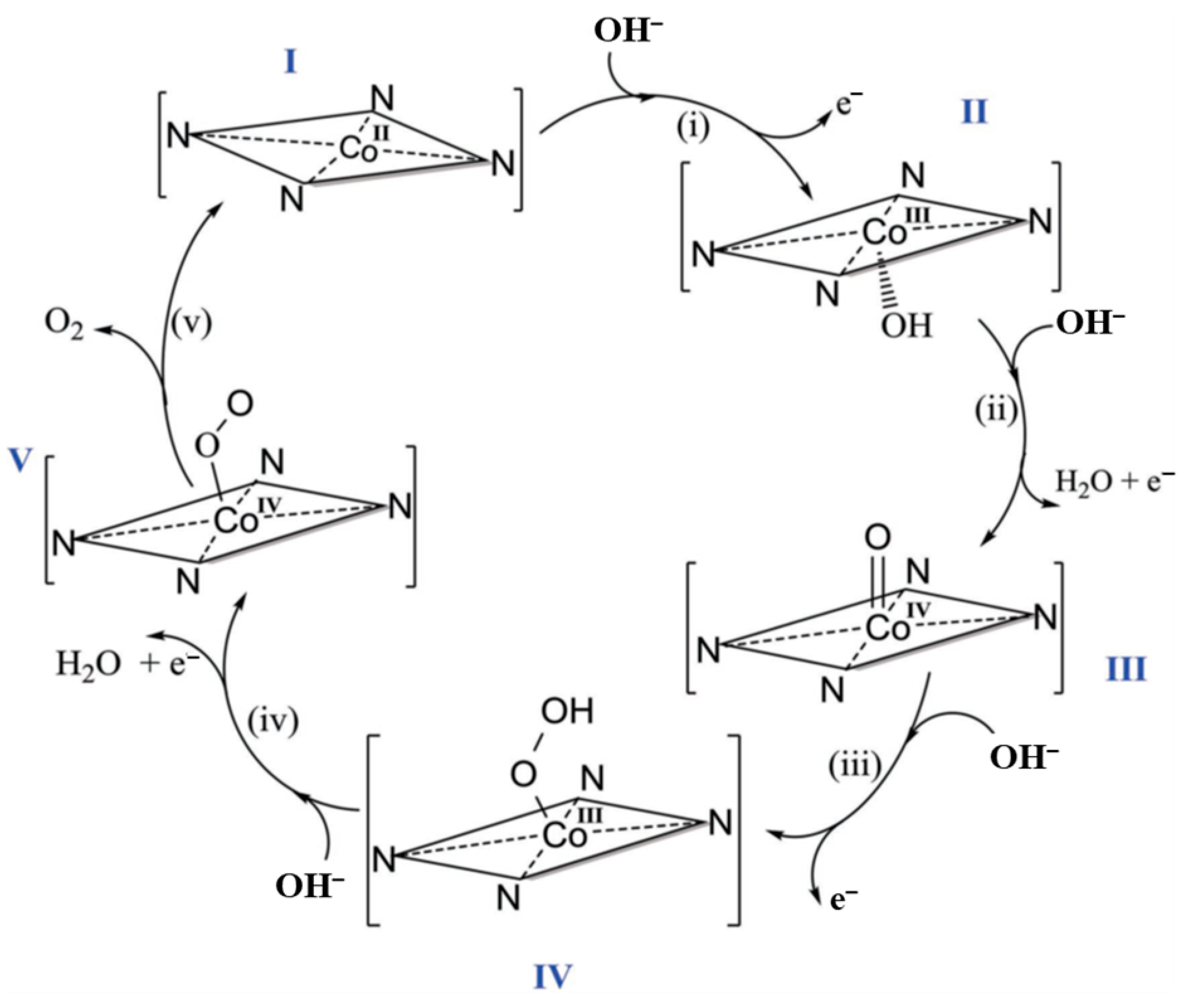 Oxygen 03 00027 g017