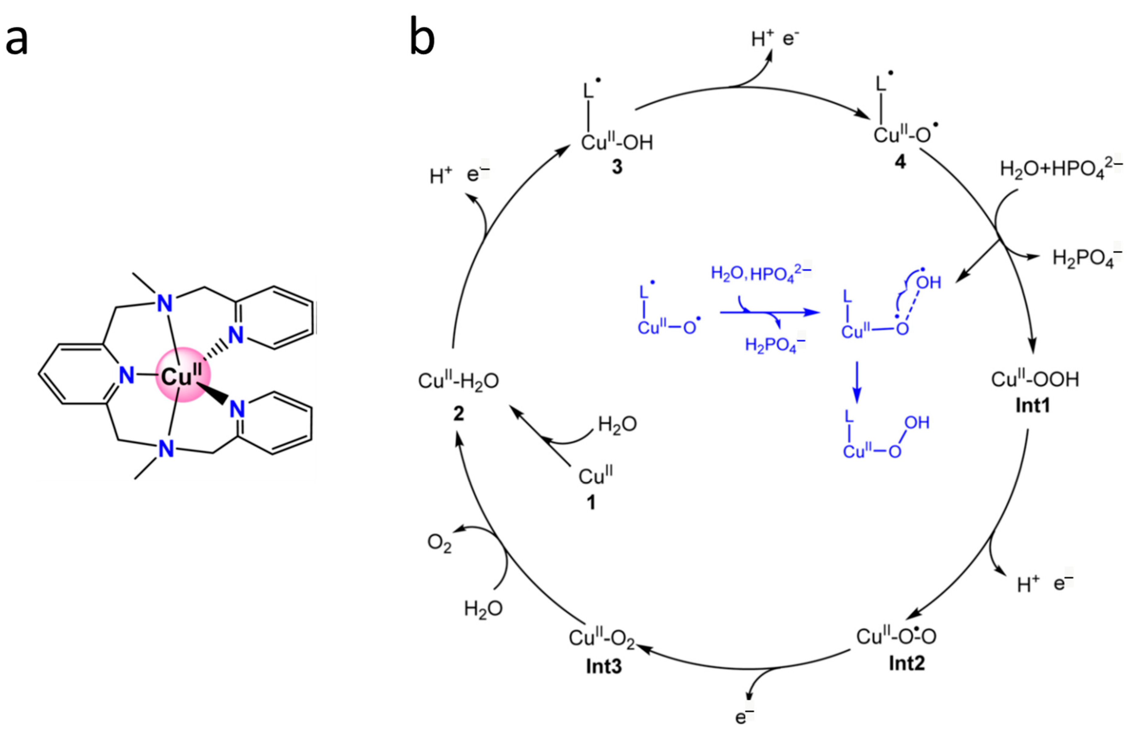 Oxygen 03 00027 g018