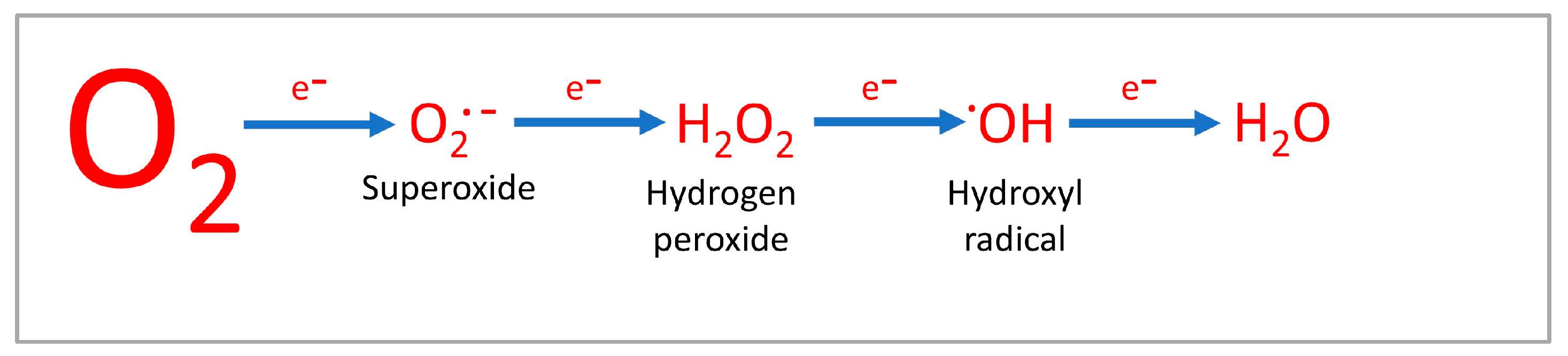 Oxygen 04 00003 g001
