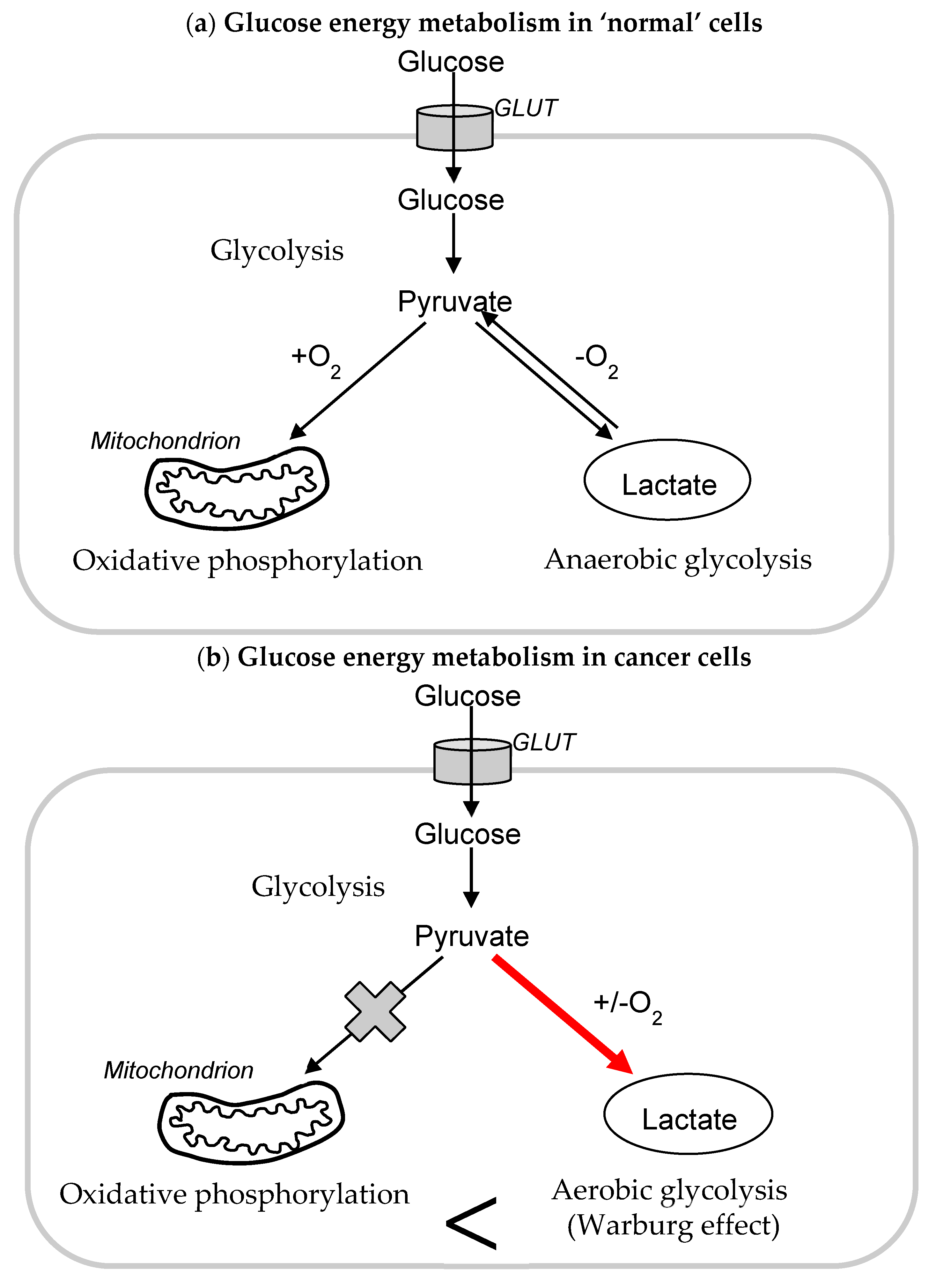 Oxygen 04 00008 g001