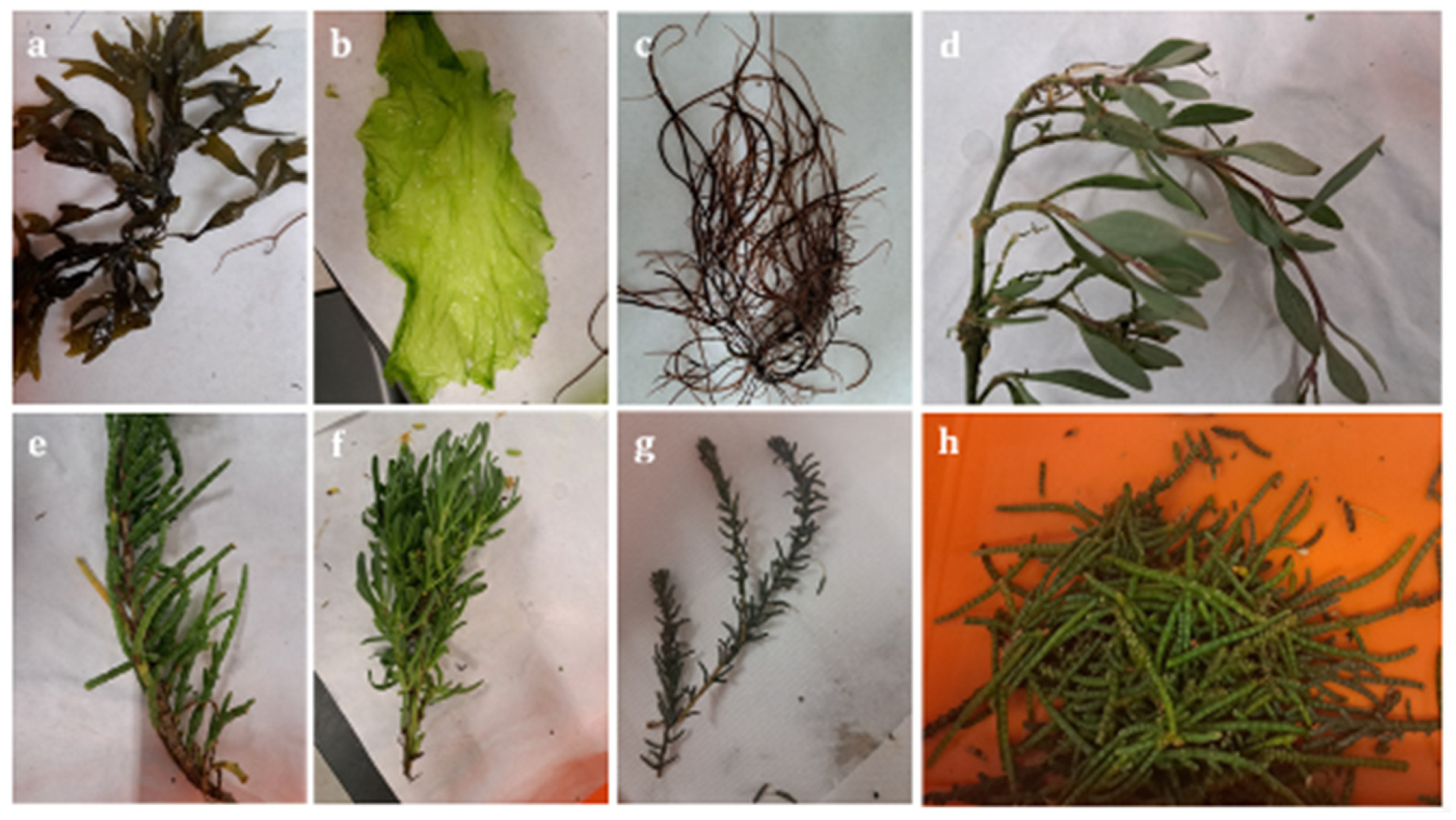 Oxygen 04 00011 g001