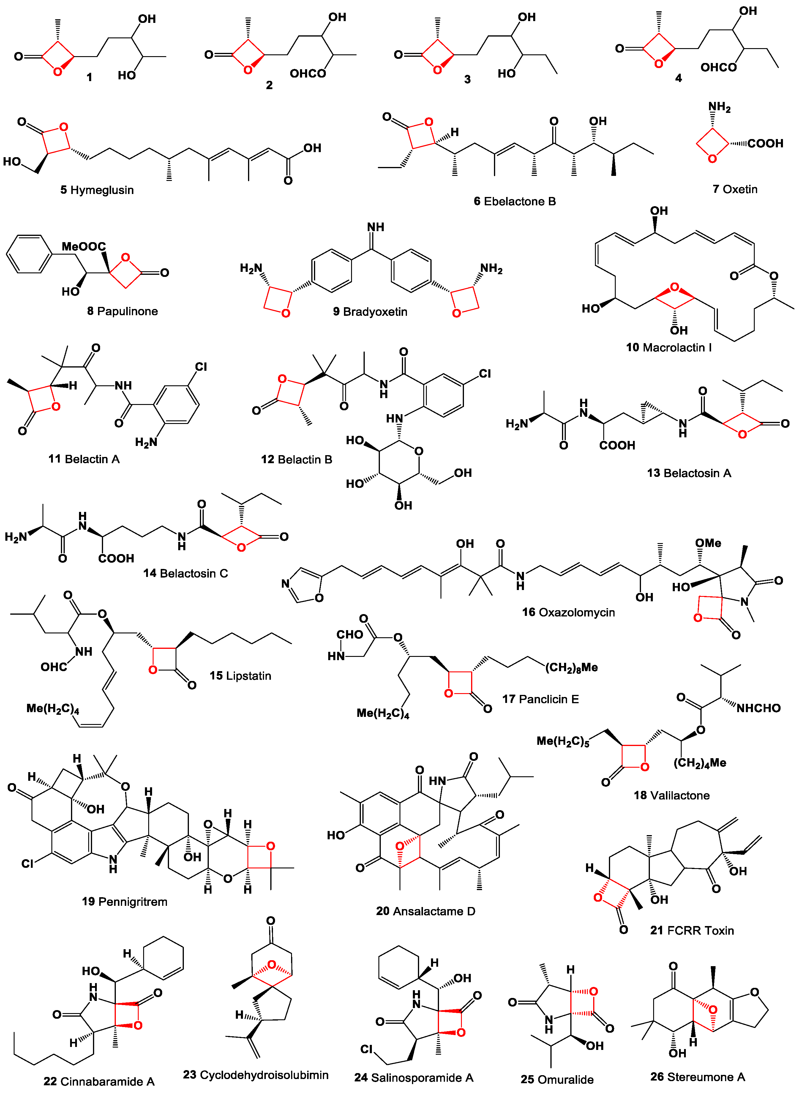 Oxygen 04 00012 g002
