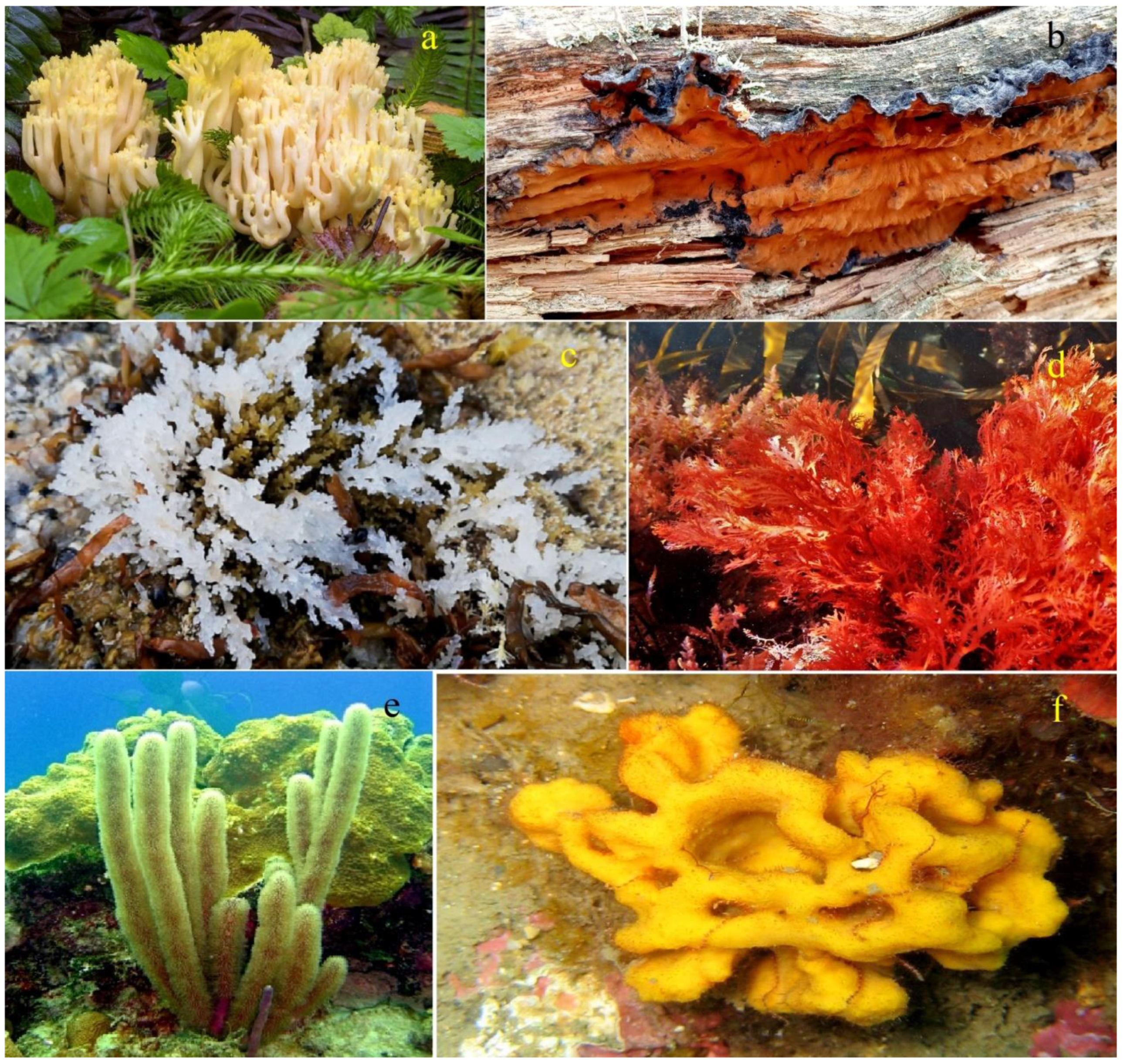 Oxygen 04 00012 g004