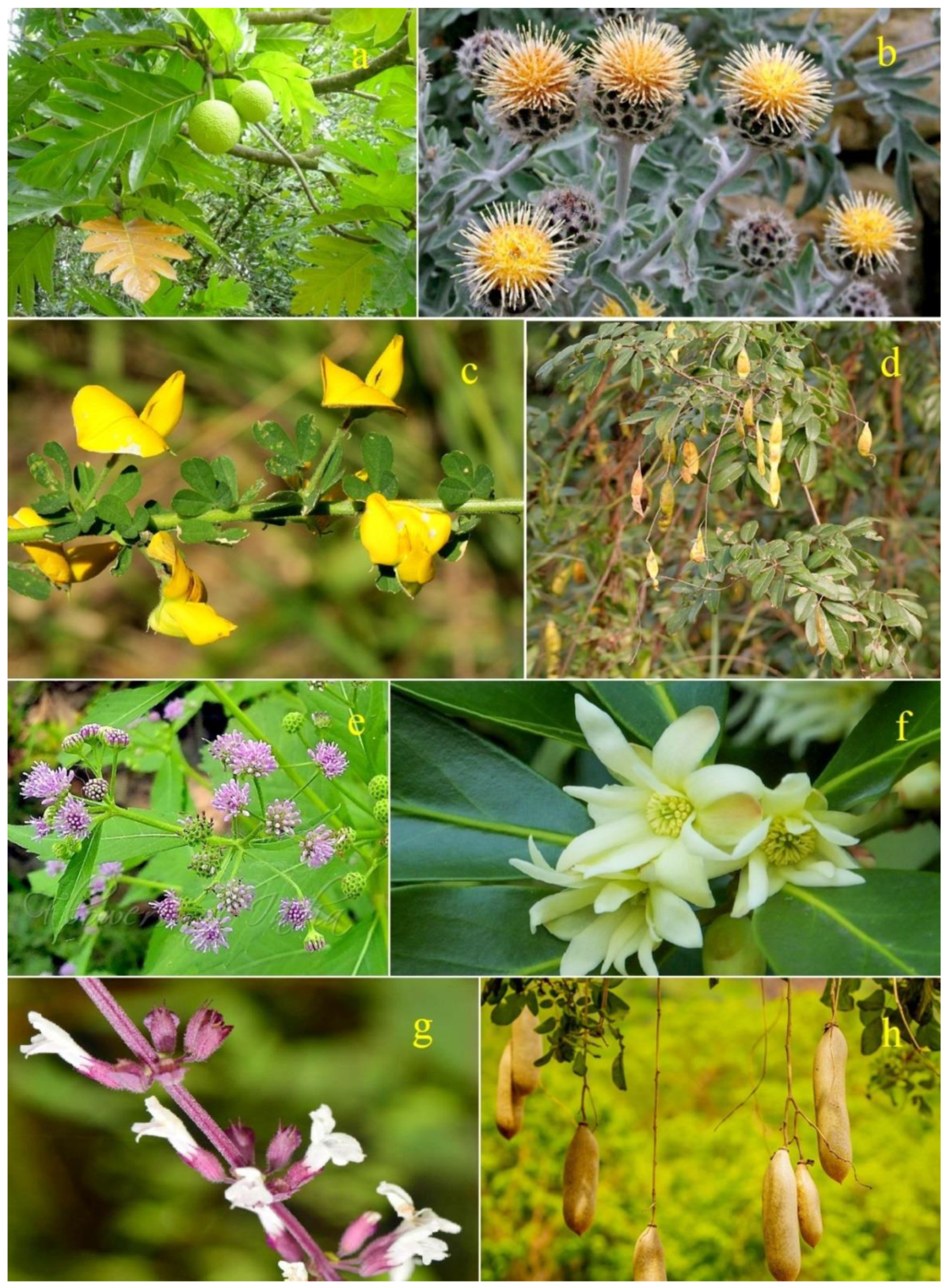 Oxygen 04 00012 g006