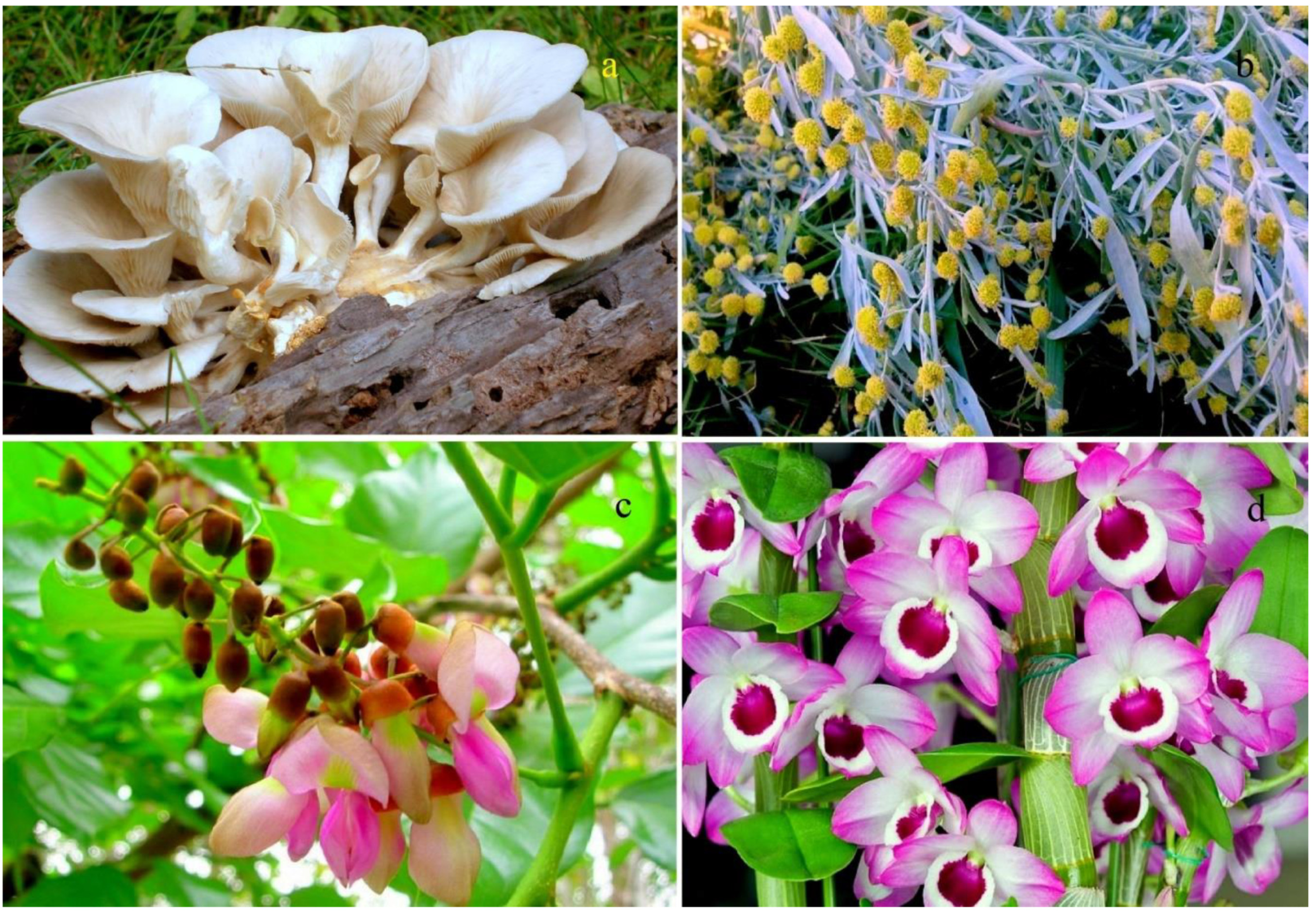 Oxygen 04 00012 g009