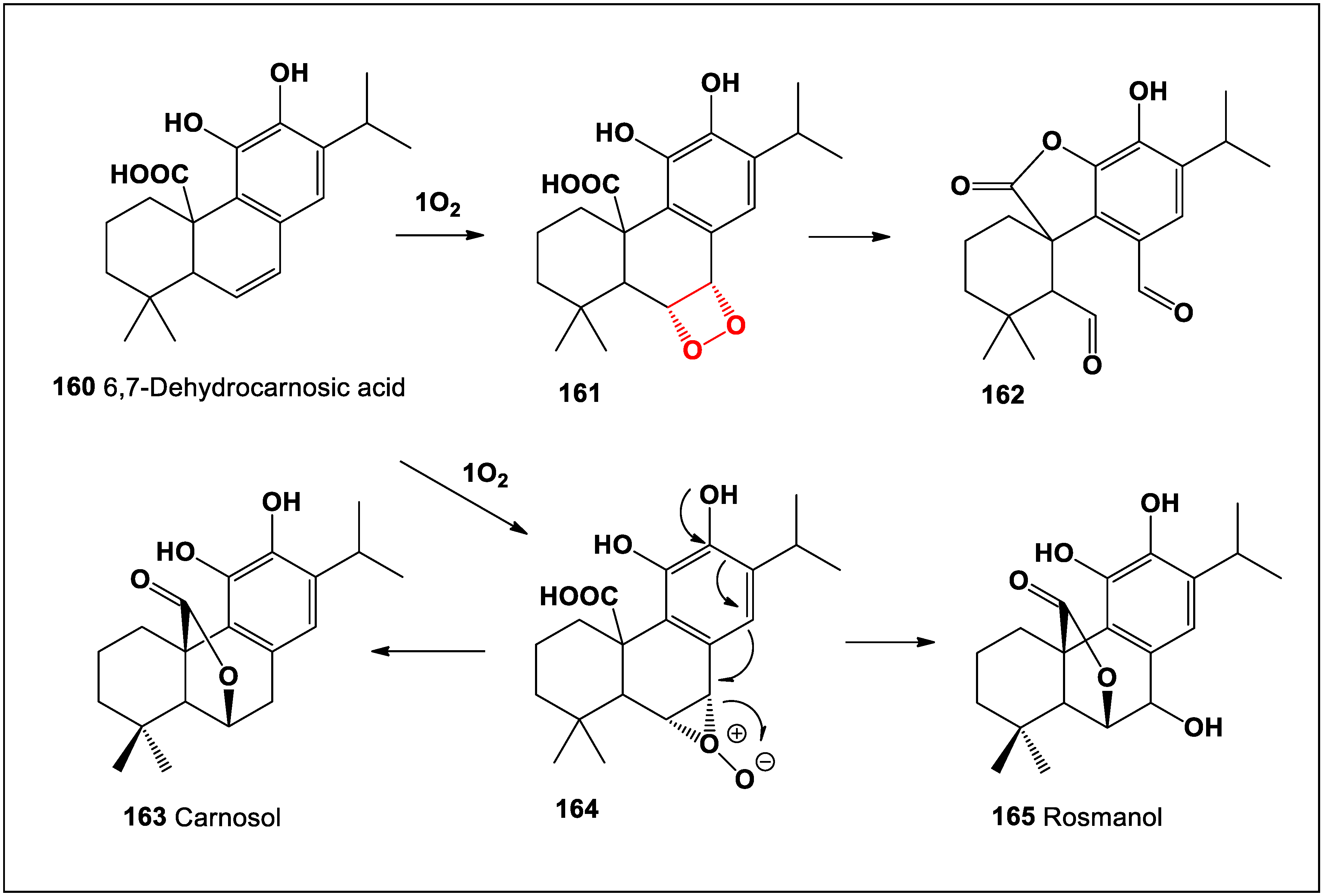 Oxygen 04 00012 sch004
