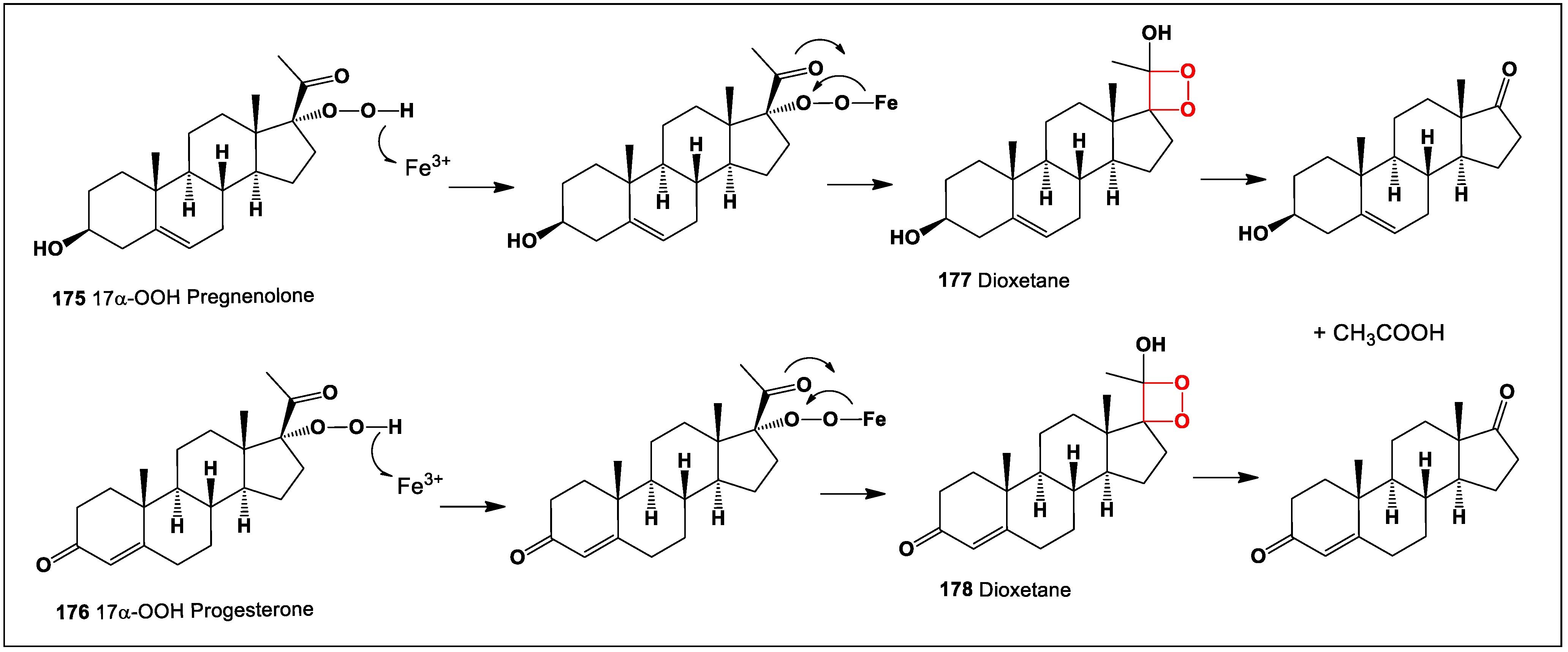 Oxygen 04 00012 sch007