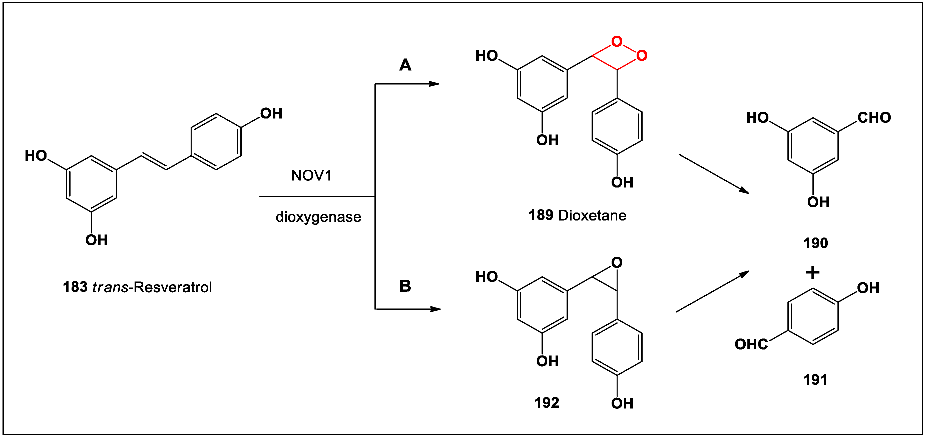 Oxygen 04 00012 sch010