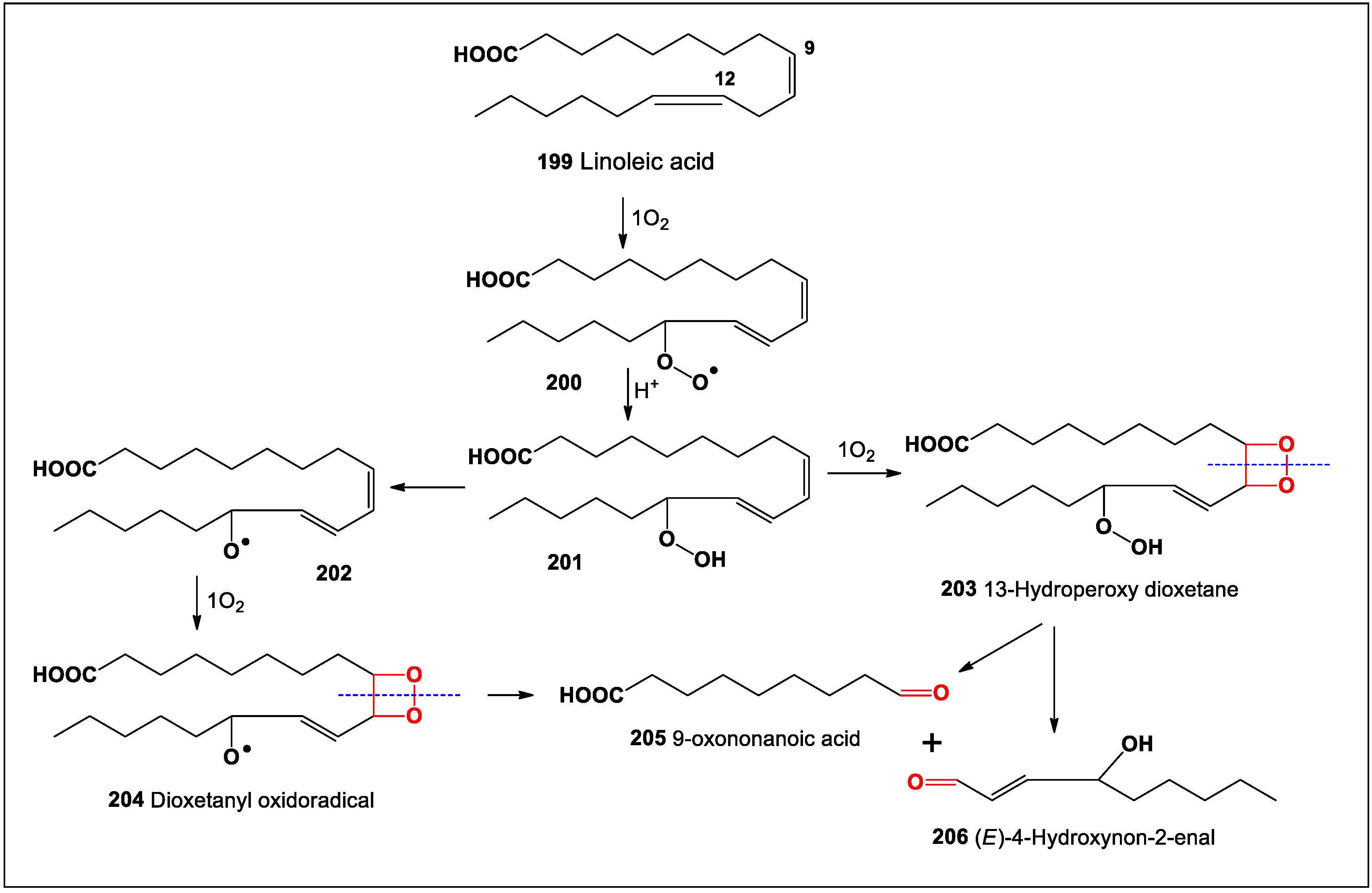 Oxygen 04 00012 sch013