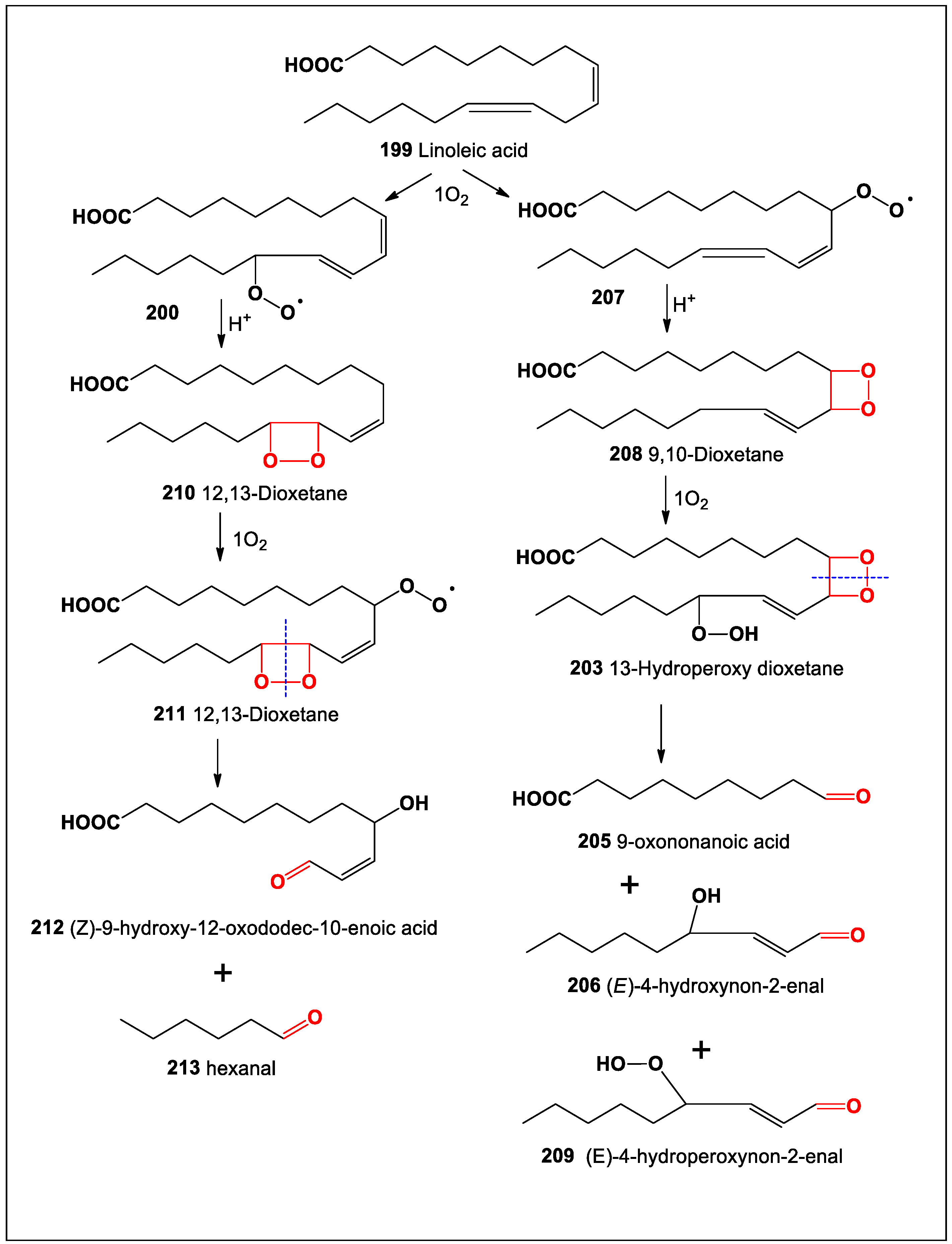 Oxygen 04 00012 sch014