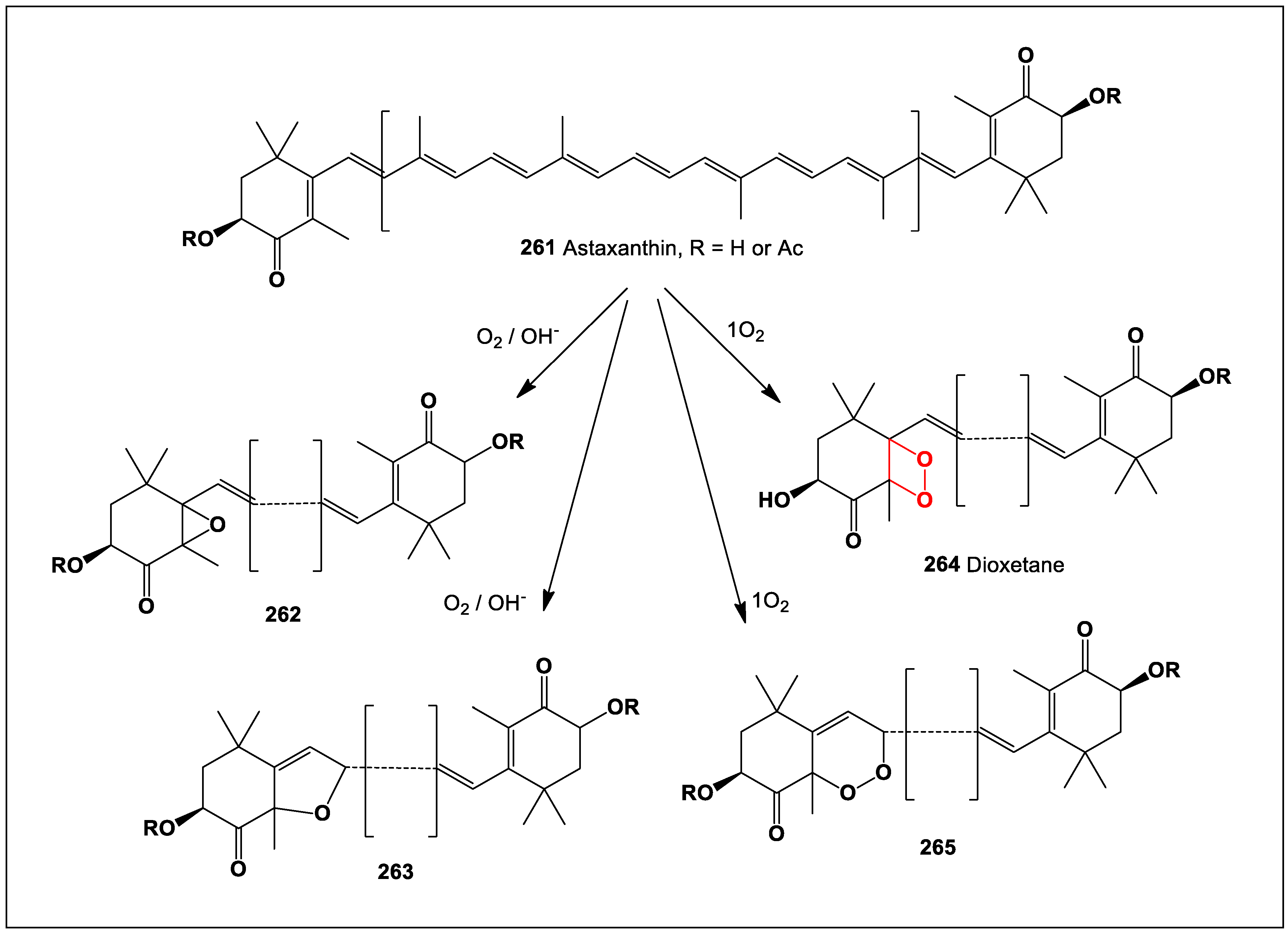 Oxygen 04 00012 sch019