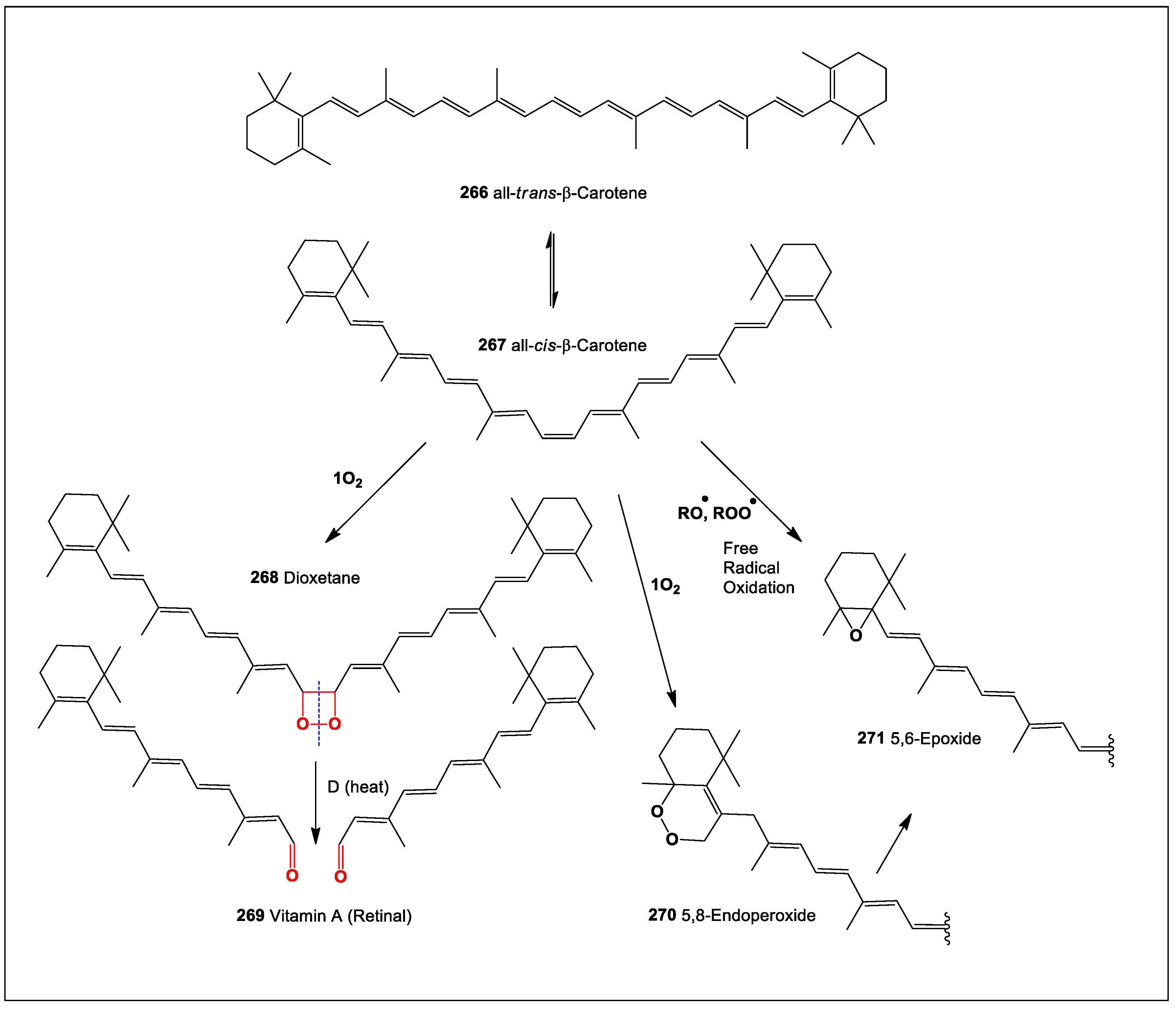 Oxygen 04 00012 sch020