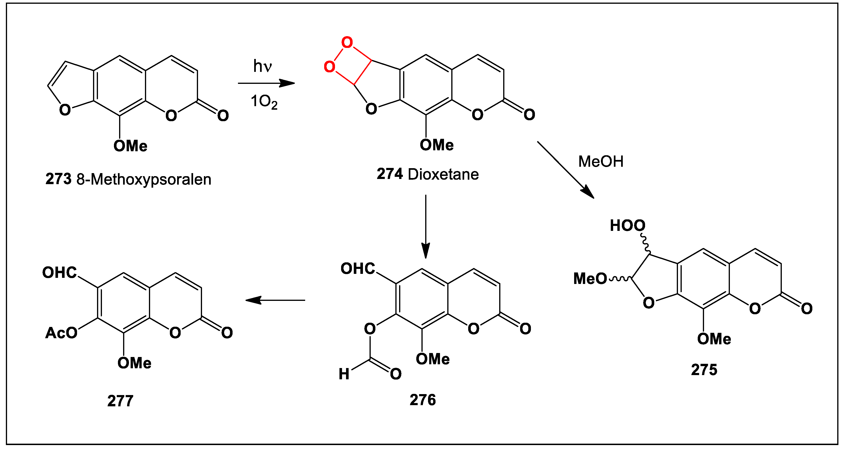 Oxygen 04 00012 sch022