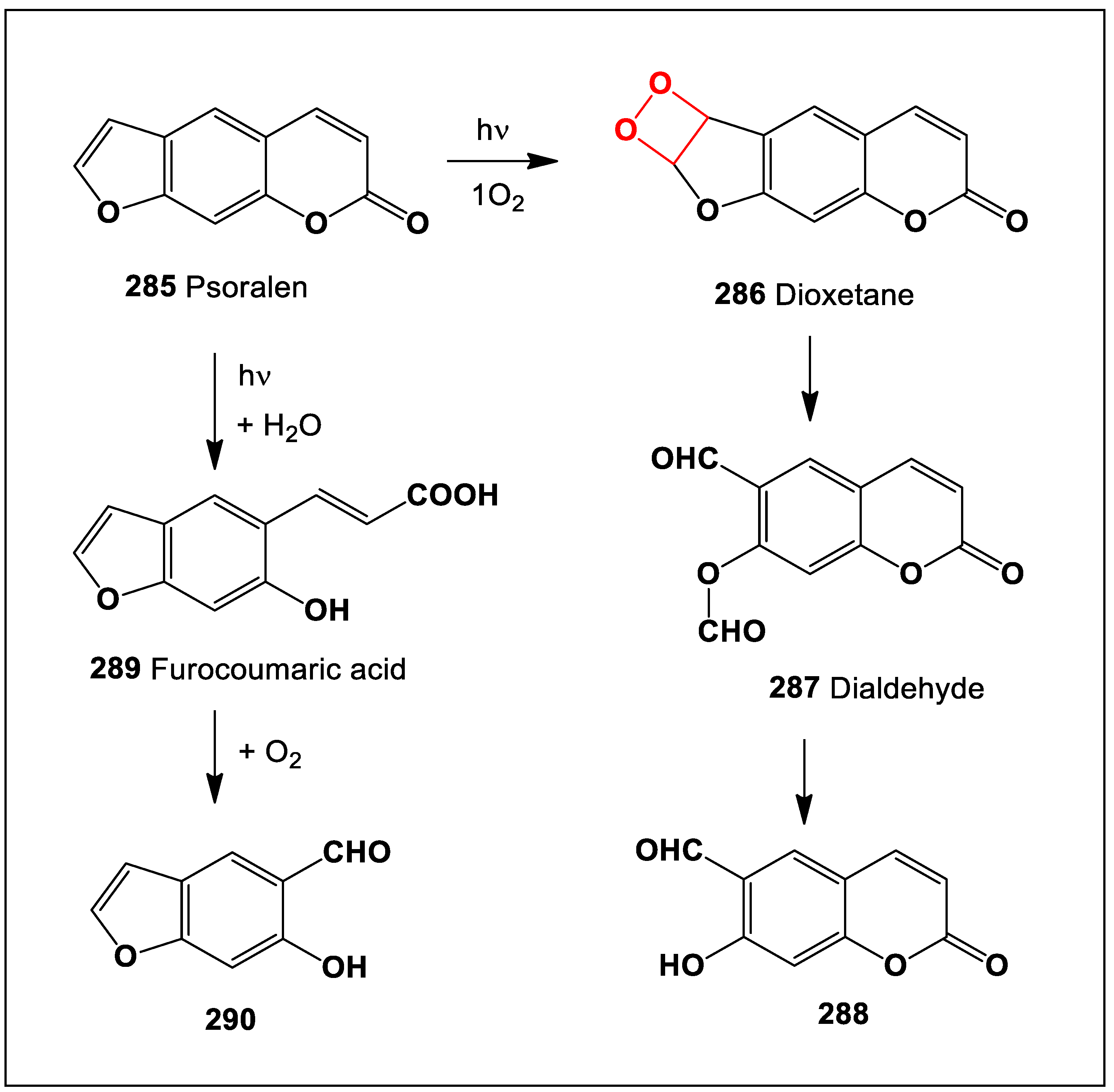 Oxygen 04 00012 sch024