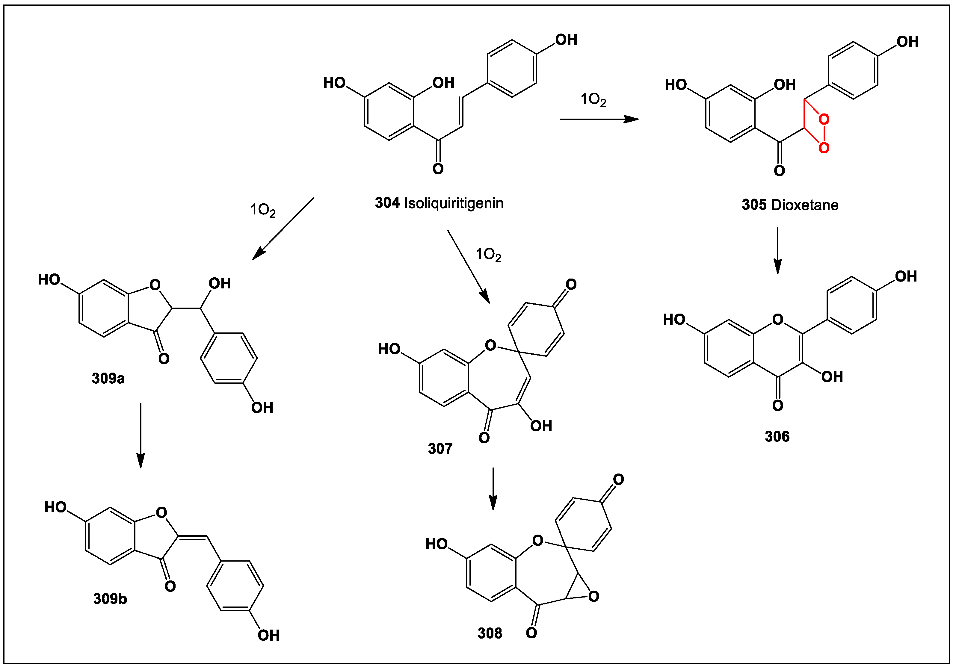 Oxygen 04 00012 sch027