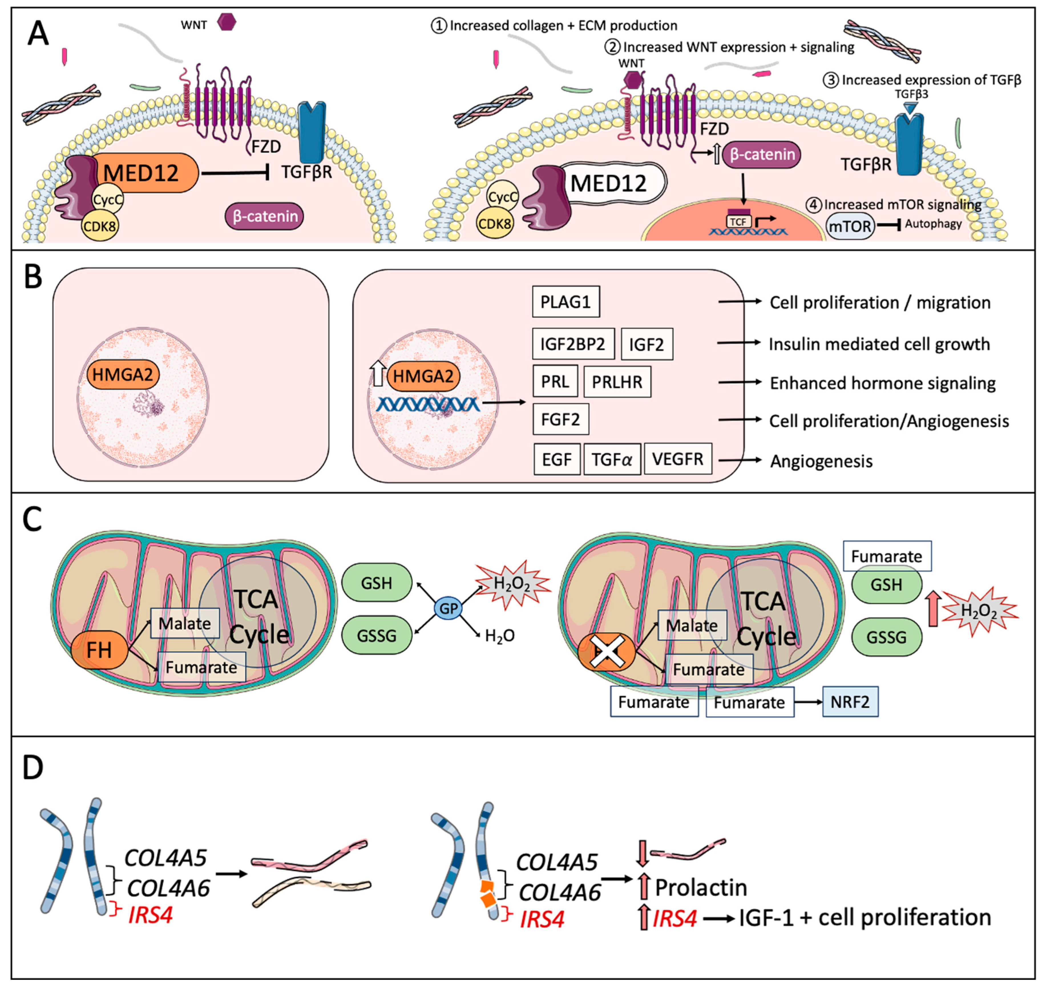 Oxygen 04 00013 g002