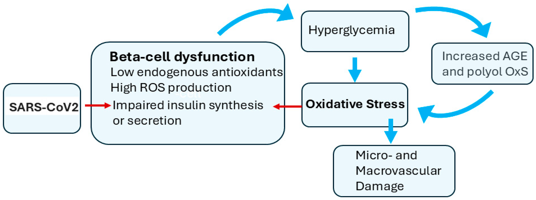 Oxygen 04 00021 g003 Oxygen 04 00021 g003