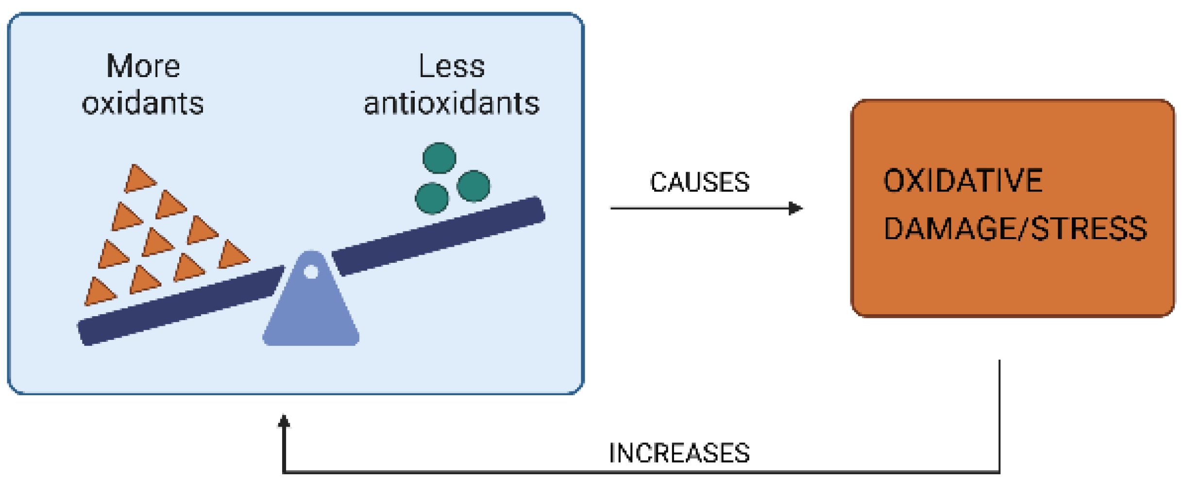 Oxygen 04 00022 g002