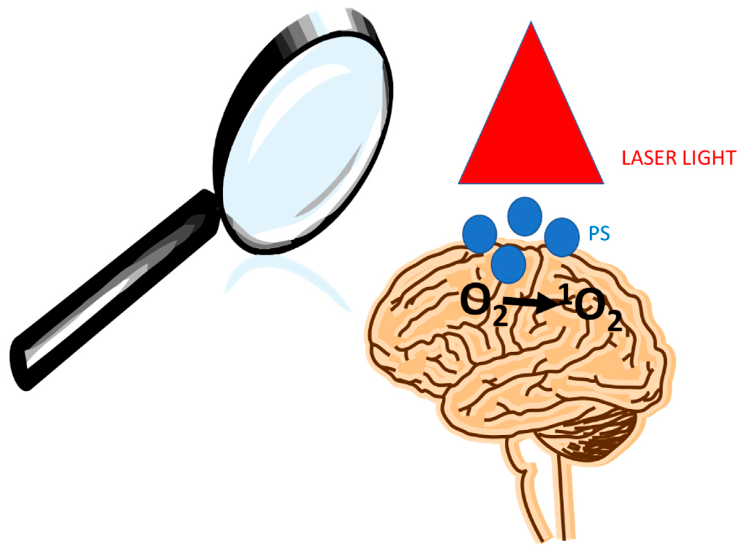 Oxygen 05 00002 g001