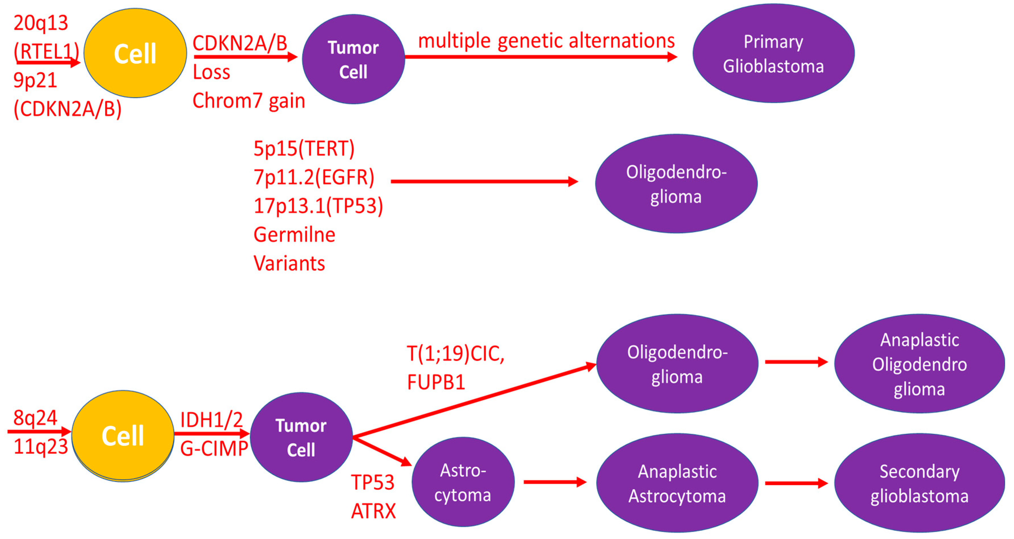 Oxygen 05 00002 g002