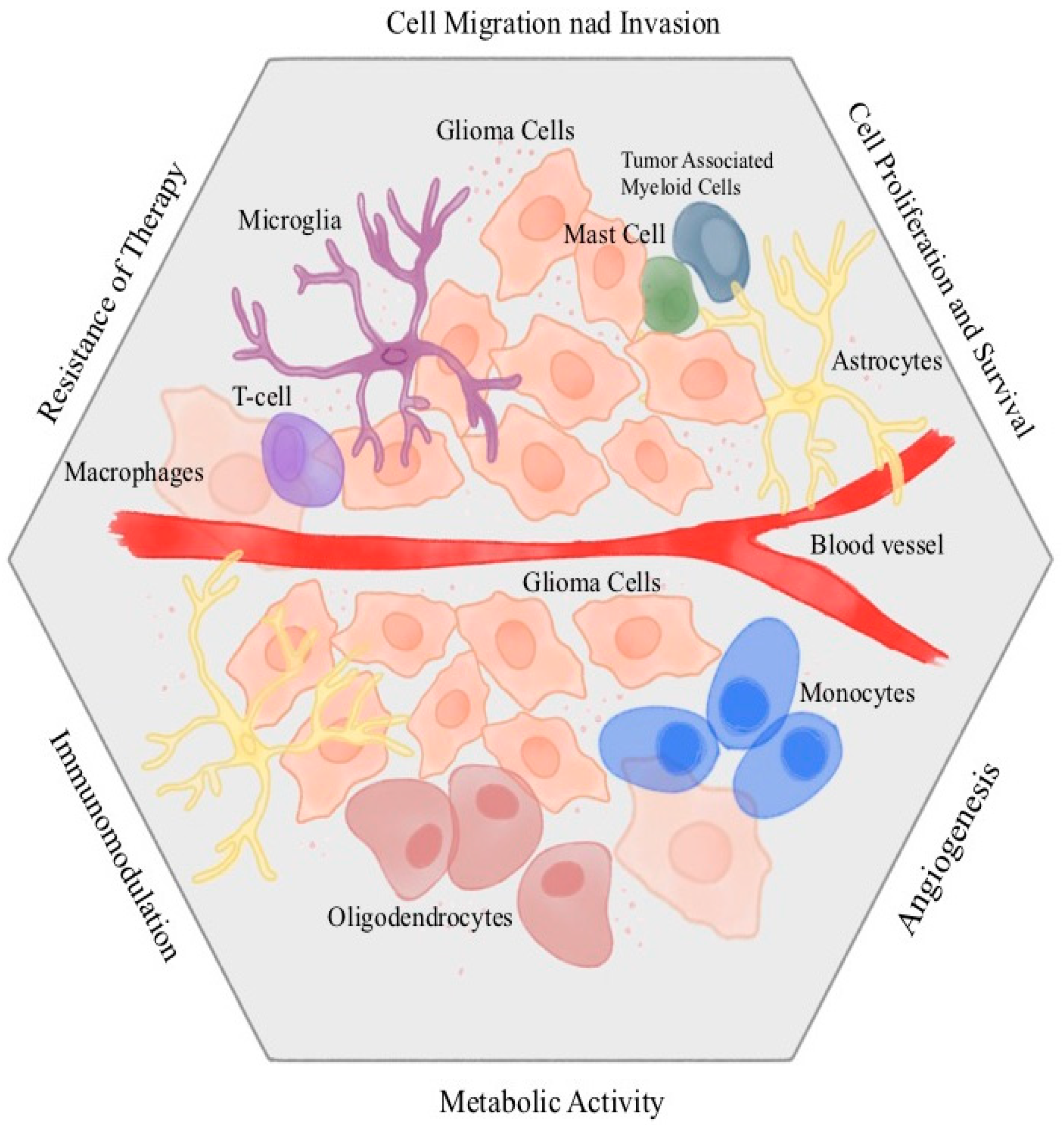 Oxygen 05 00002 g003
