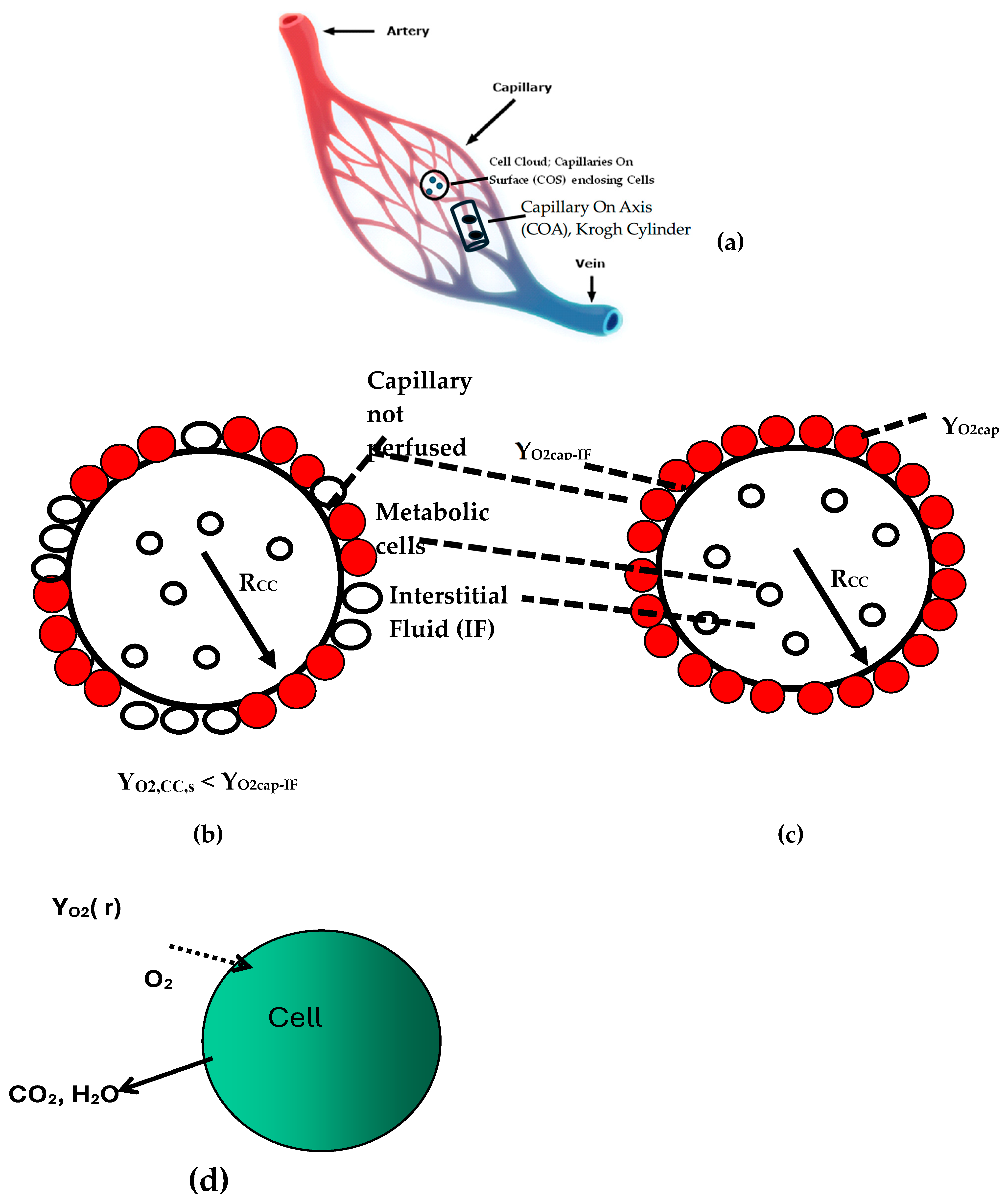 Oxygen 05 00006 g002