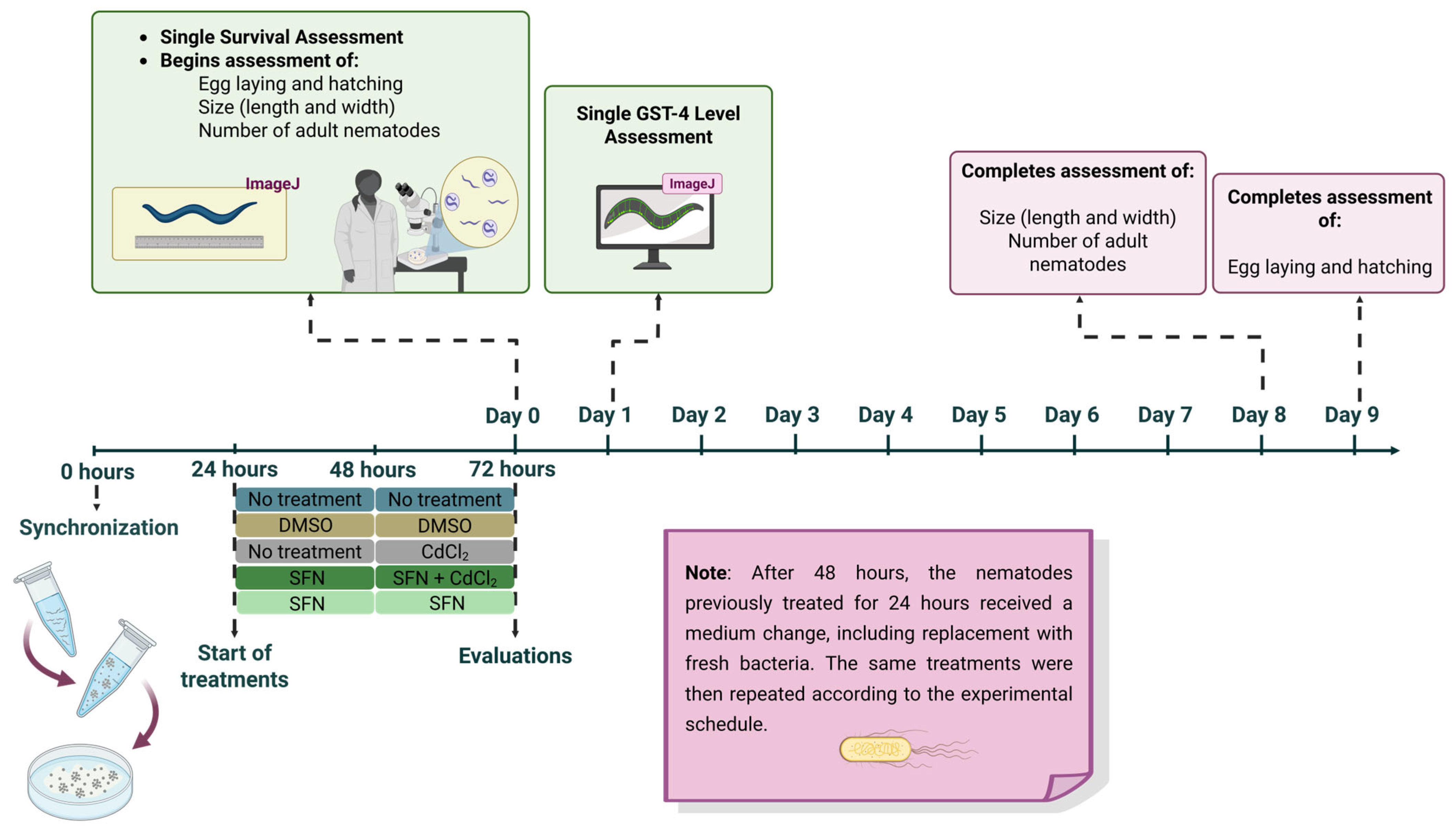 Oxygen 05 00015 g001