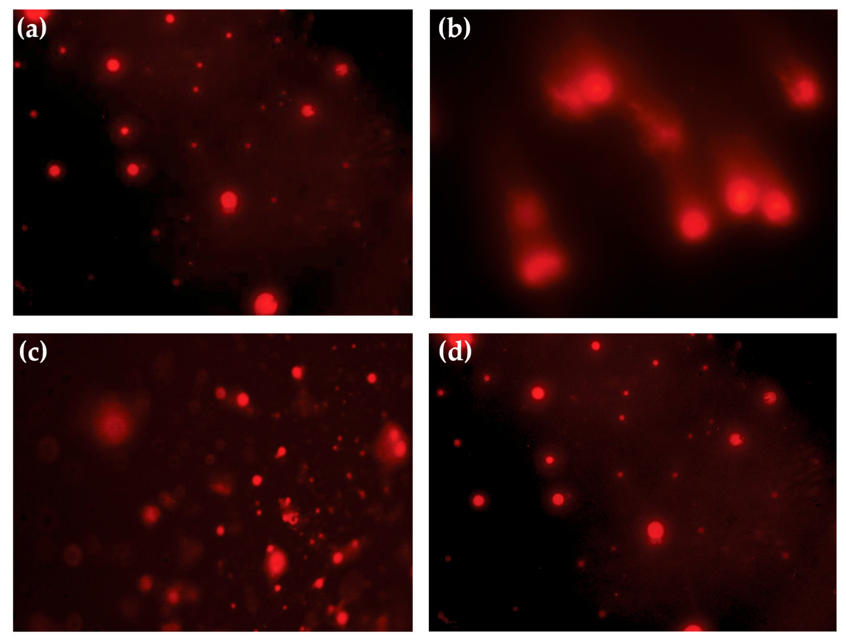 Oxygen 05 00019 g004