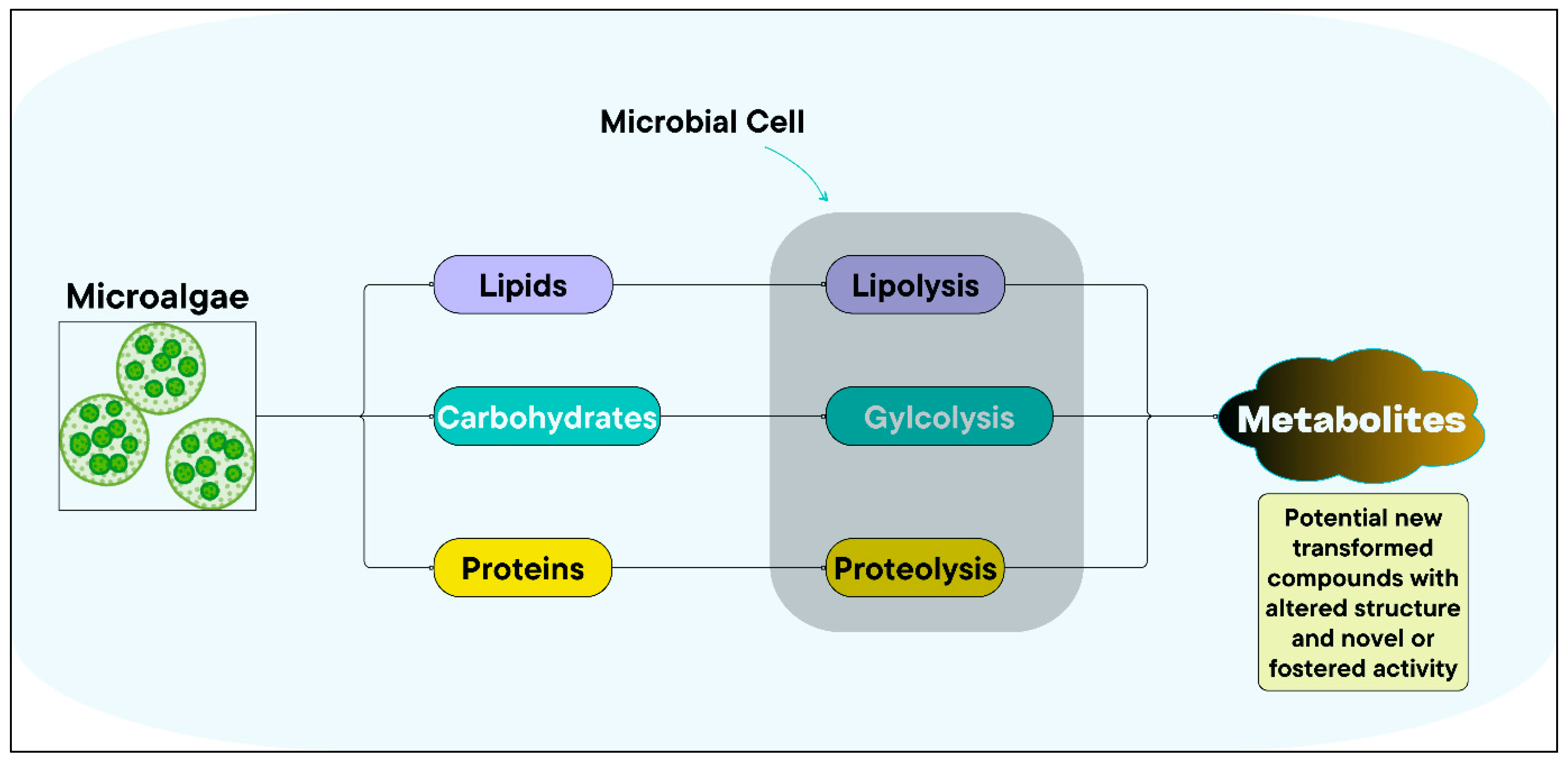 Oxygen 05 00023 g001