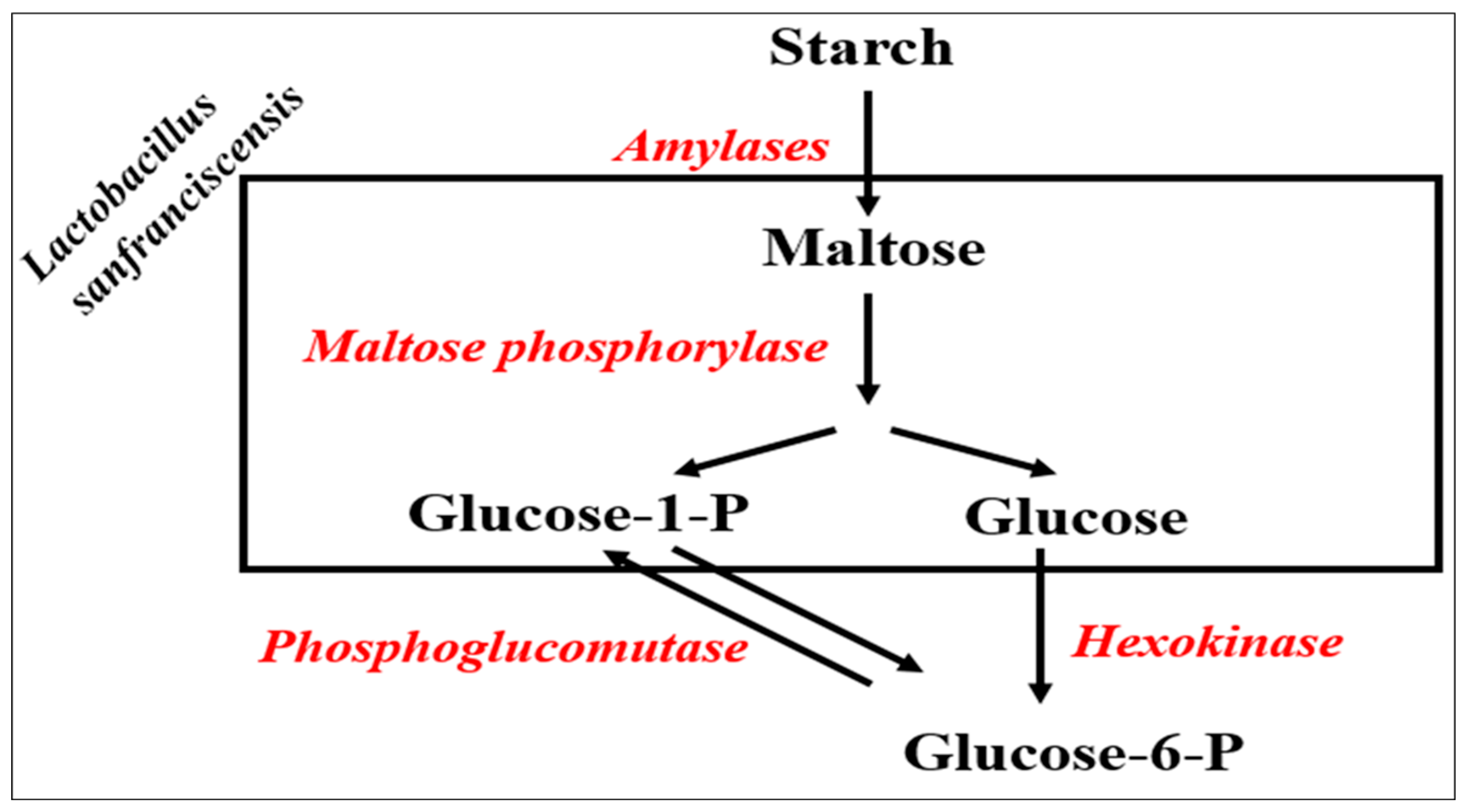 Oxygen 05 00023 g002