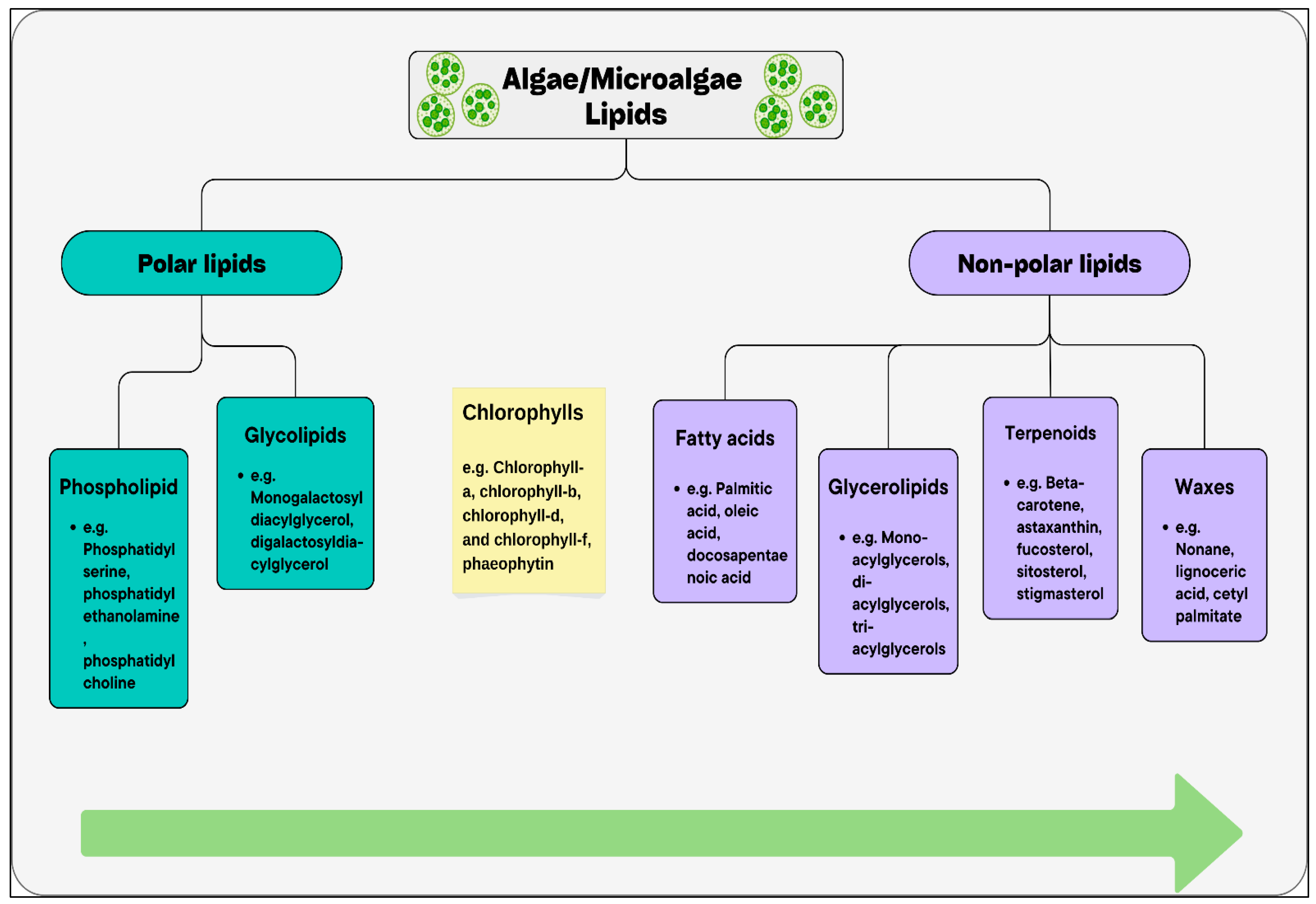 Oxygen 05 00023 g003