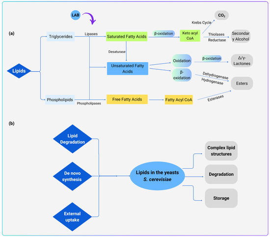 Oxygen 05 00023 g004