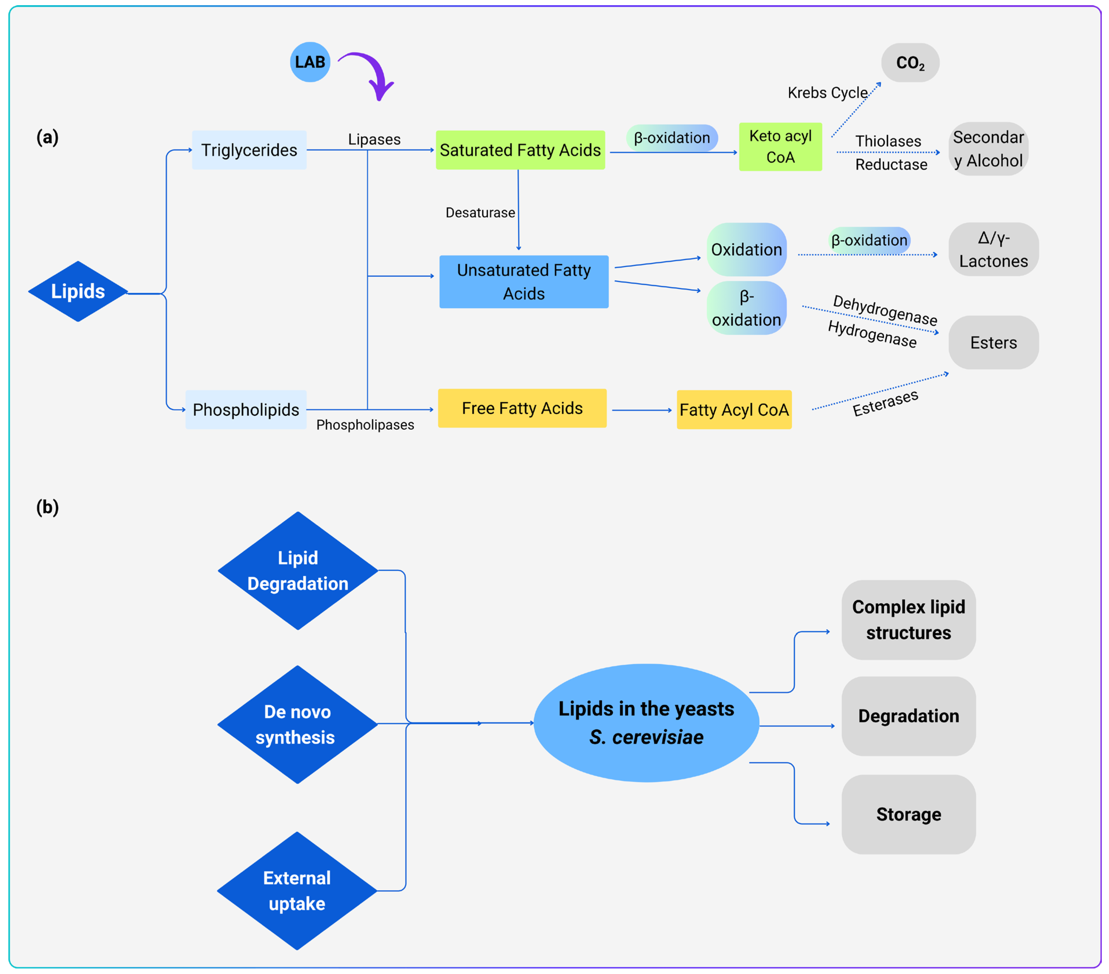 Oxygen 05 00023 g004