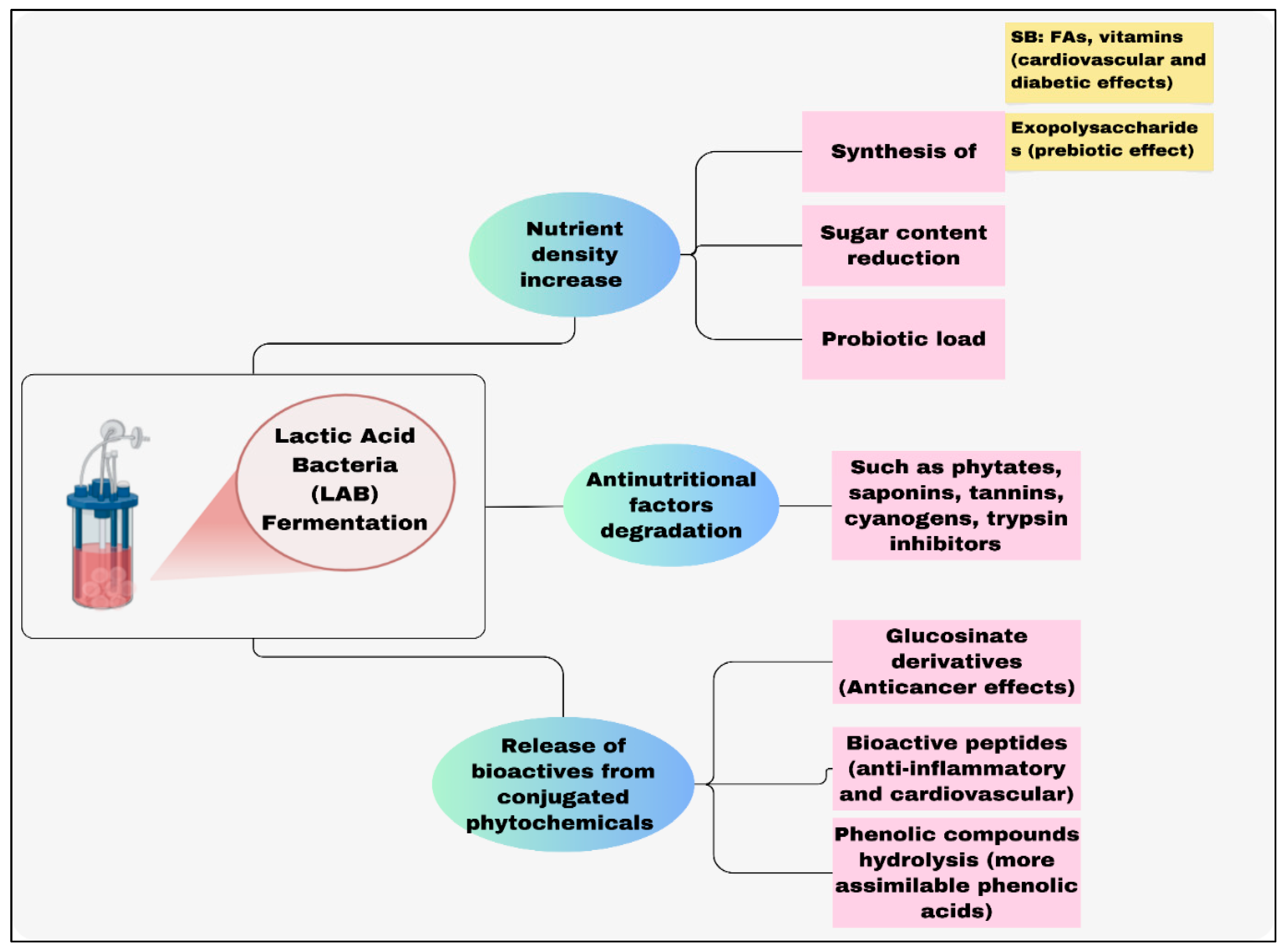 Oxygen 05 00023 g005