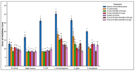 Antibacterial activity of tomato aqueous extract against different bacterial strains by disc diffusion method. +Ve Ctrl: tetracycline. T1, T2, and T3: control, and non-salinity-stressed treatments, with 0, 0.075, and 0.15 g/L spraying of zinc oxide nanoparticles. T4, T5, and T6: salinity-stressed treatment, and salinity-stressed treatments with 0, 0.075, and 0.15 g/L spraying of zinc oxide nanoparticles. Each value represents the mean ± SE. The significance of the numbers is shown by the lowercase letters that appear above them. Two values are not substantially different (p < 0.05) if they share a letter. All samples were statistically compared to each item (confidence intervals corrected using Tukey method).