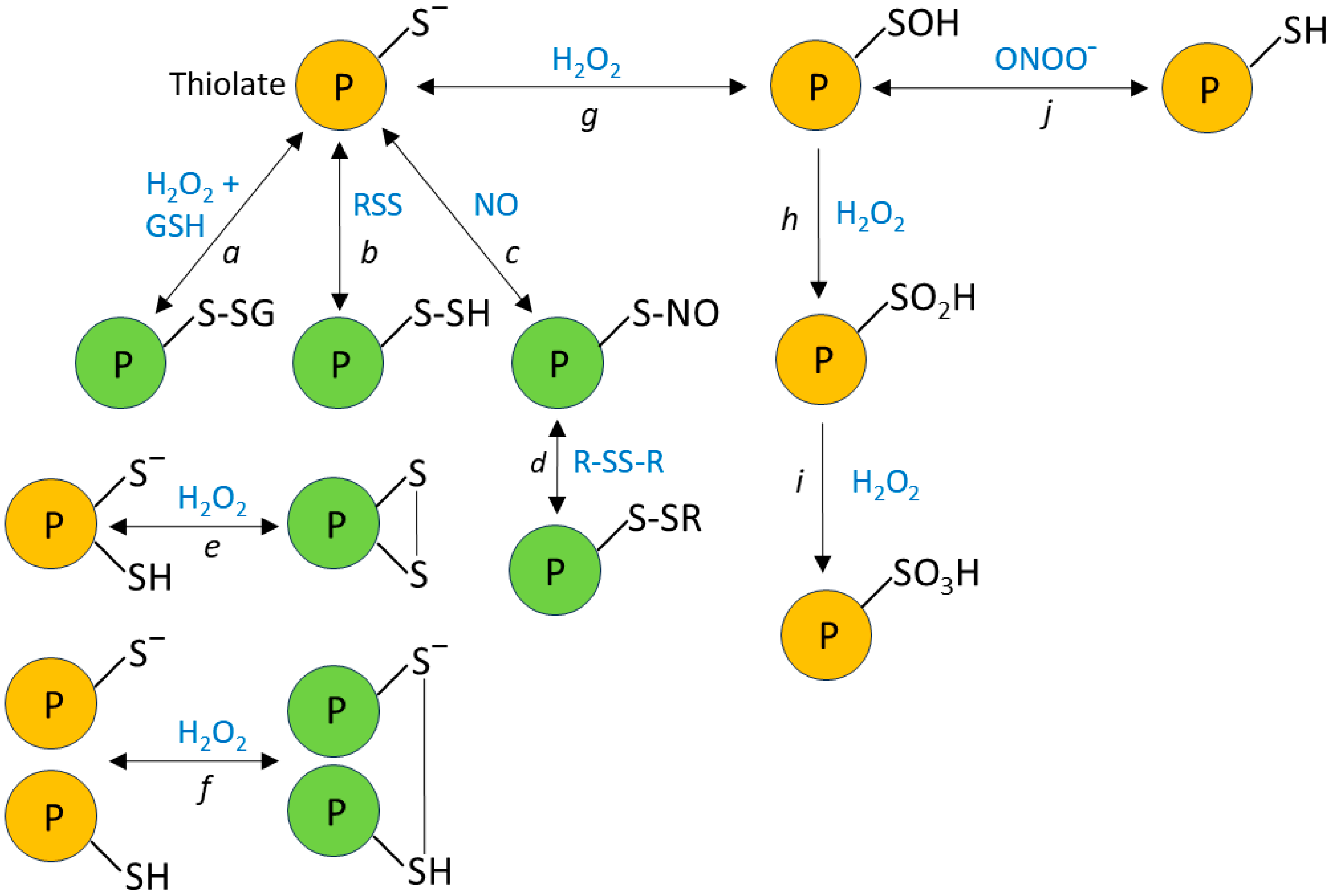 Oxygen 06 00004 g001