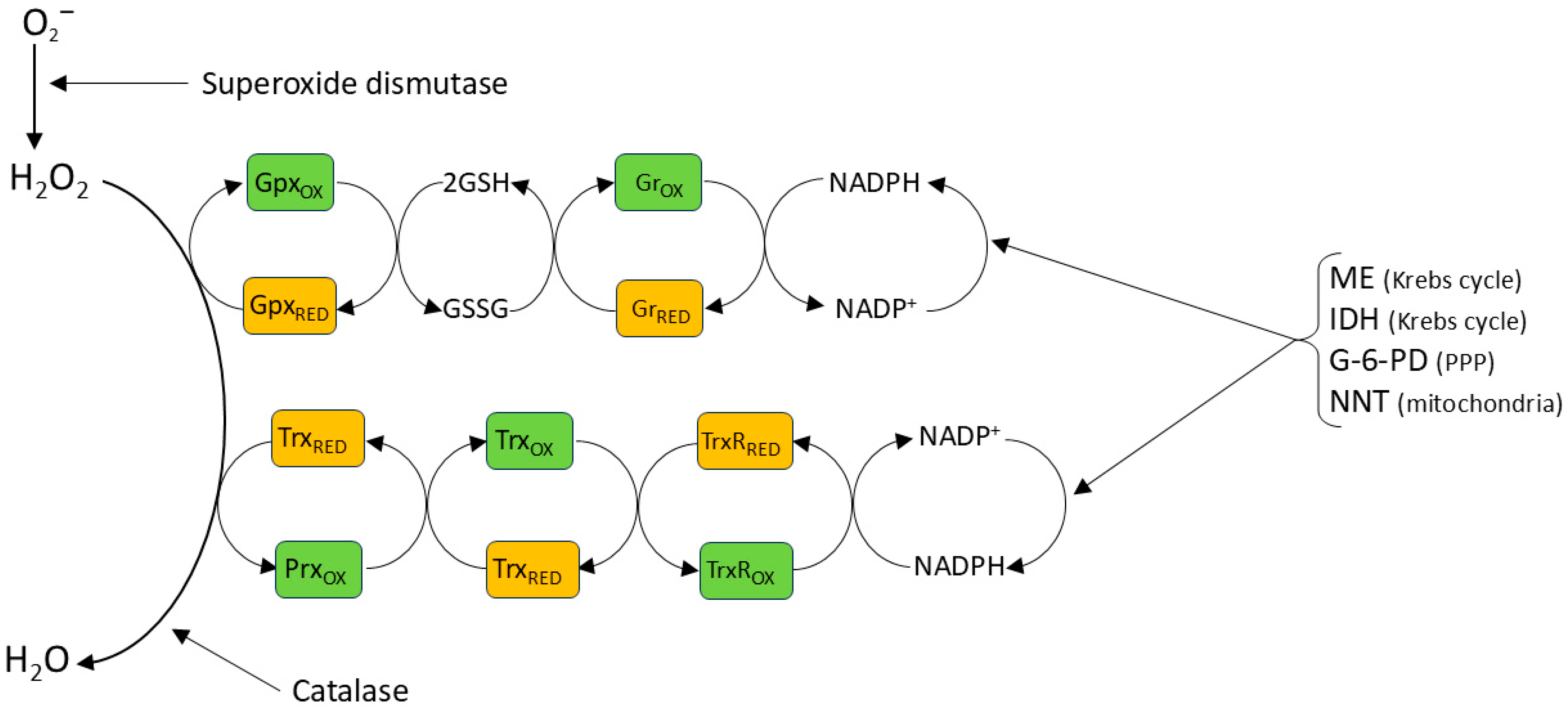 Oxygen 06 00004 g002